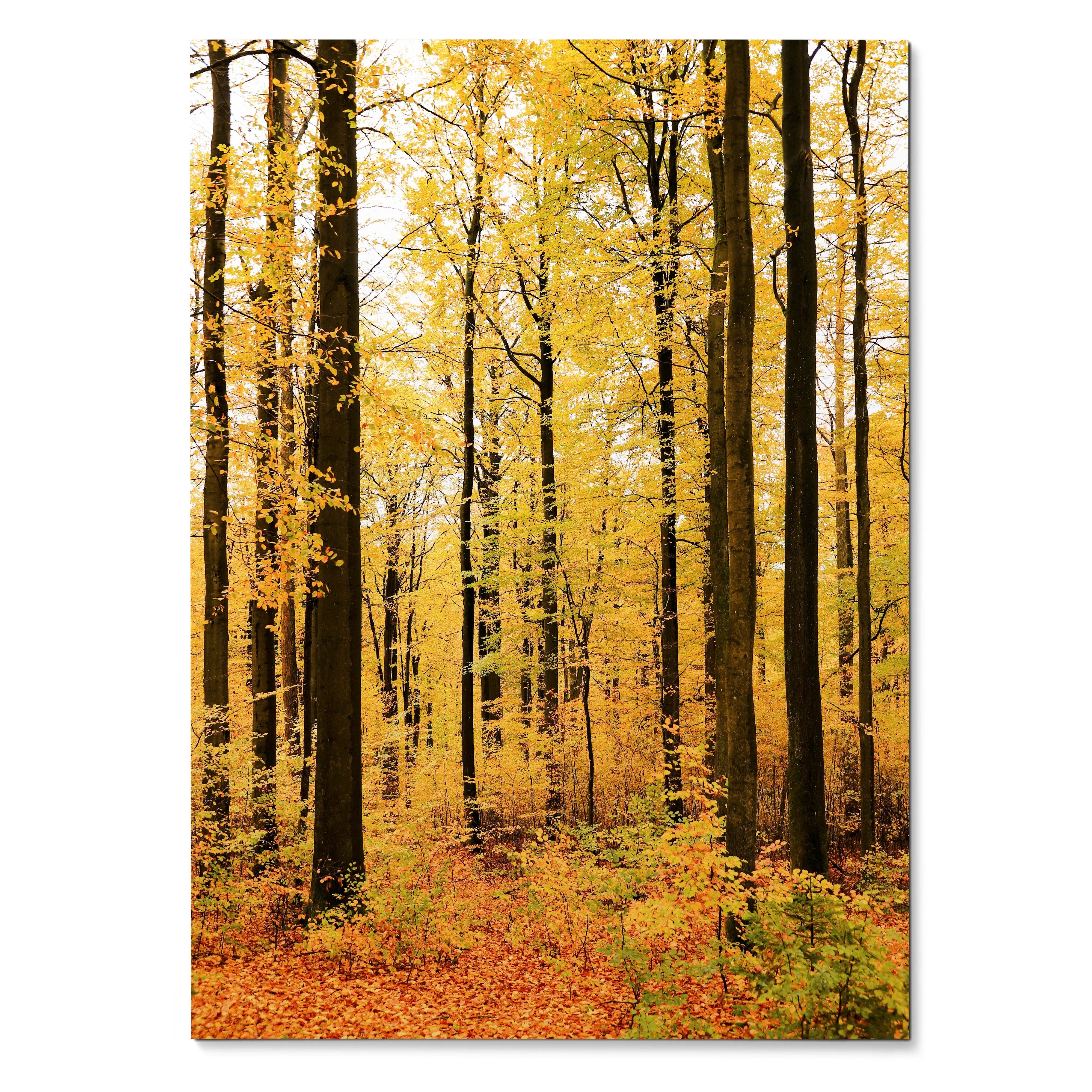 Vertical autumn forest wall art poster with tall trees and golden leaves in vibrant fall colors.