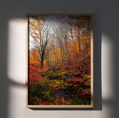 Vertical autumn forest wall art poster with vibrant orange and red foliage and a small stream.