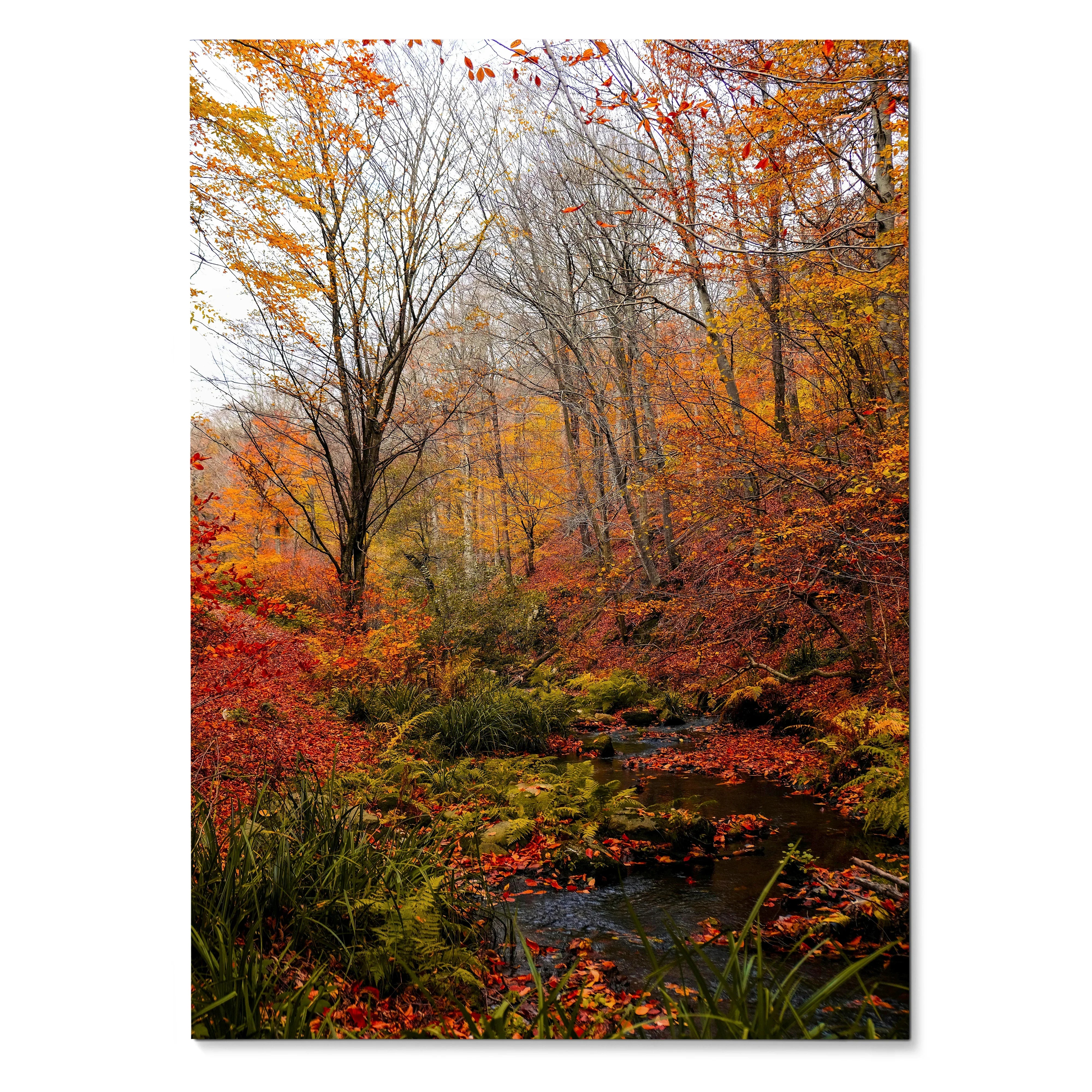 Vertical poster of vibrant autumn forest with colorful leaves and creek, nature wall art.