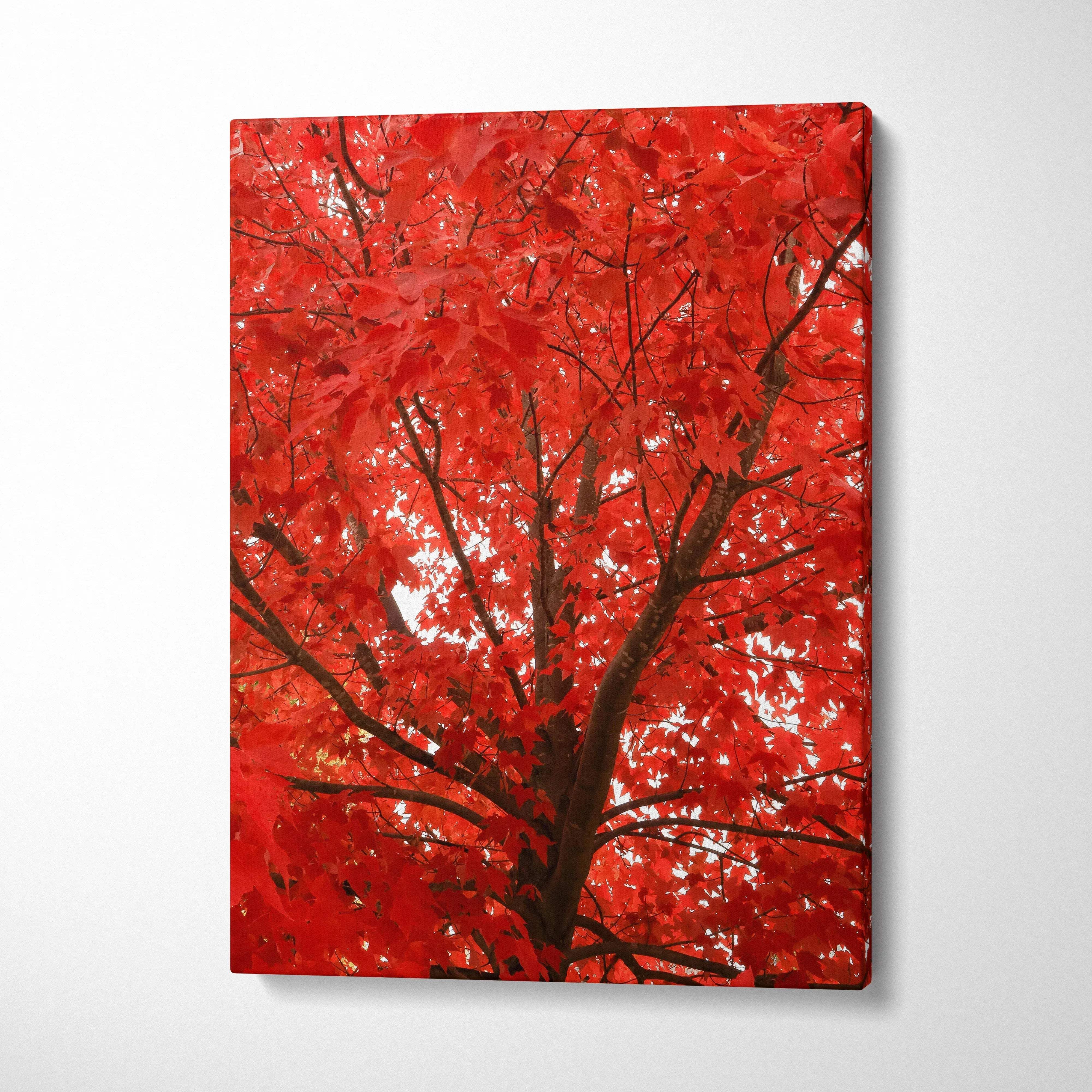 Vertical canvas wall art featuring vibrant red autumn leaves on tree branches against a white background.