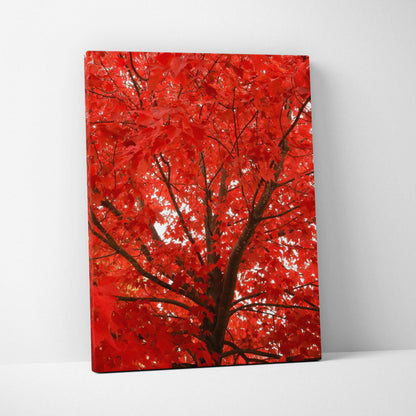 Vertical canvas wall art featuring vibrant red autumn leaves on tree branches.