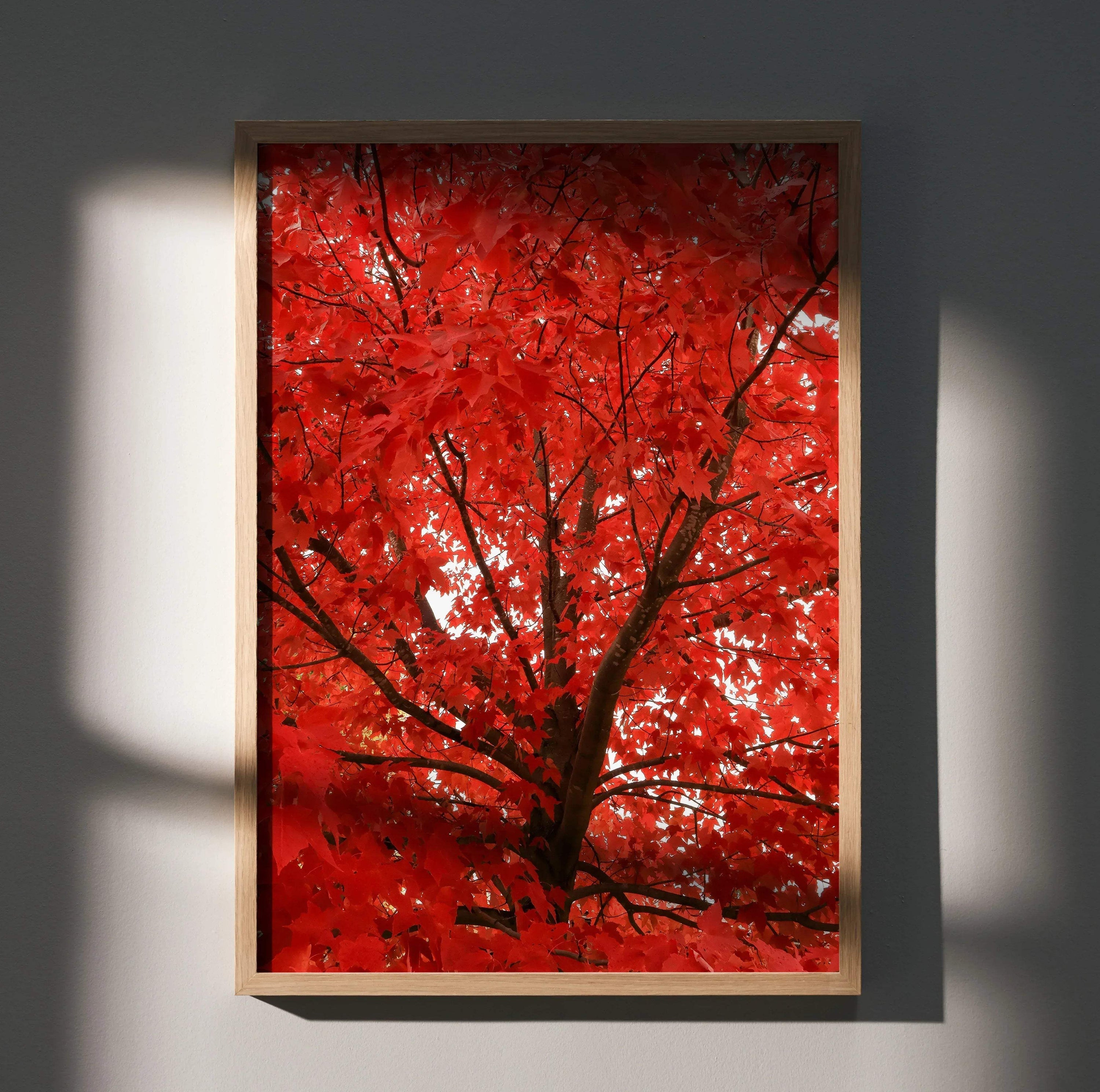 Vertical autumn forest poster featuring vibrant red leaves and dark tree branches, wall art with rich fall colors.