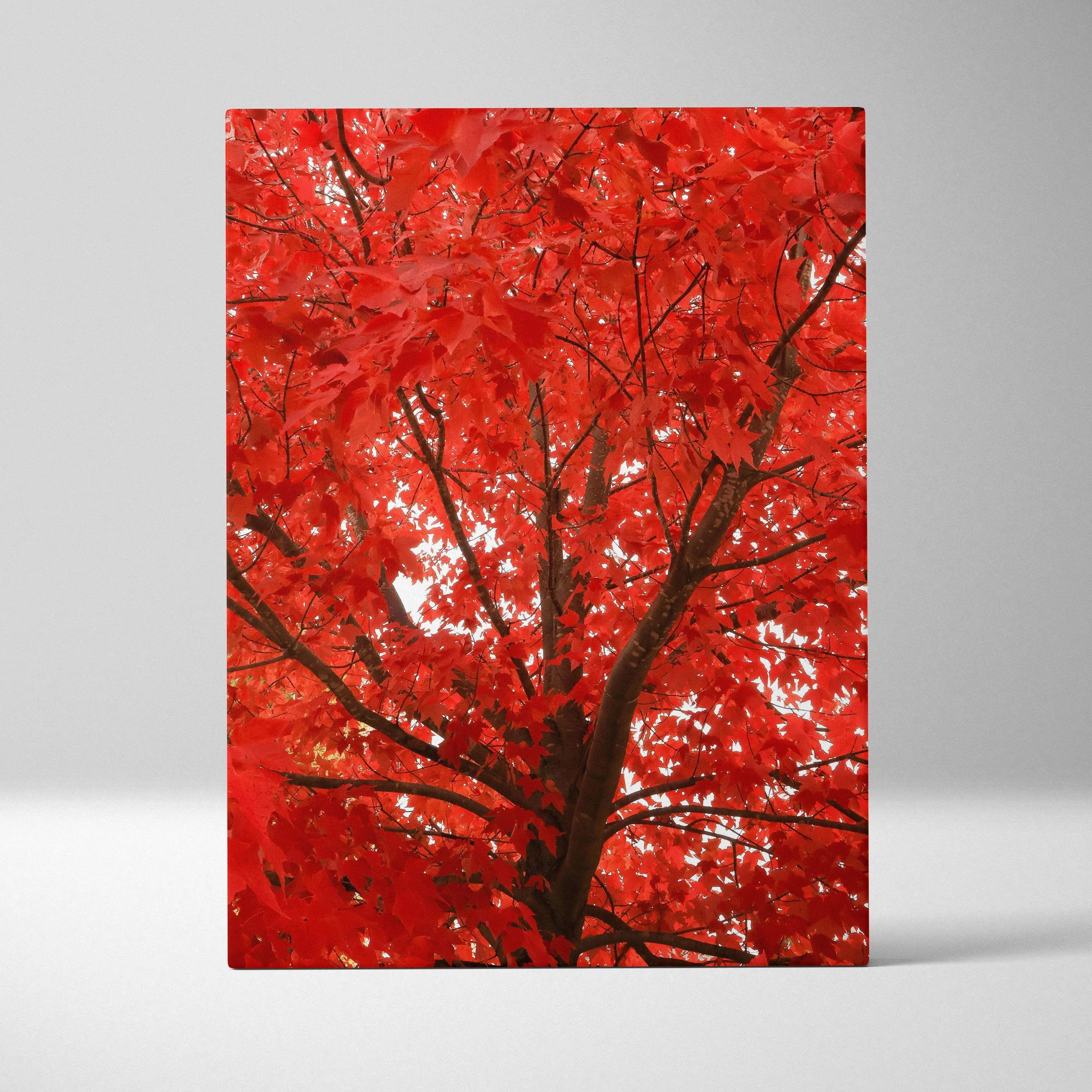 Vertical canvas wall art featuring vivid red autumn leaves on tree branches.