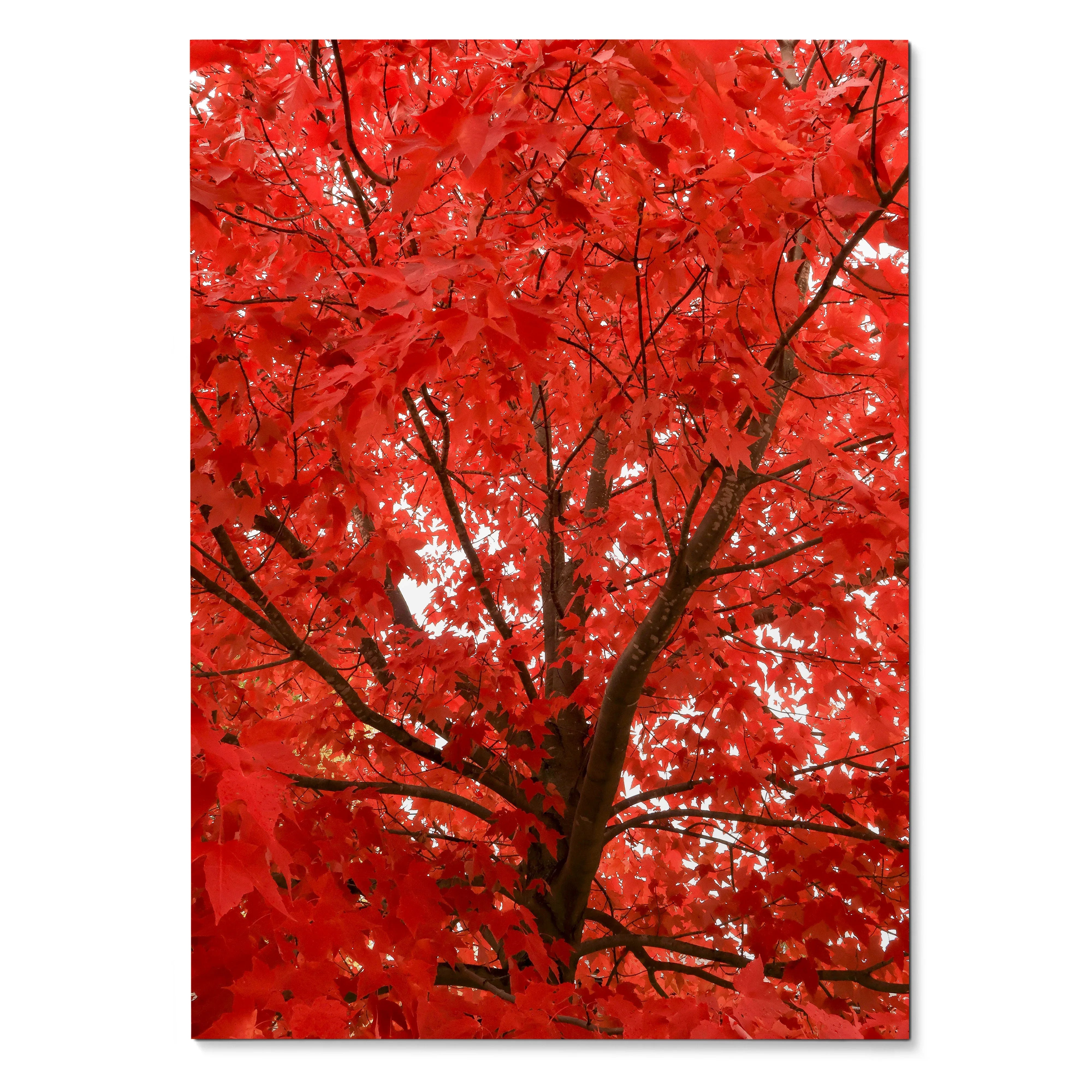 Autumn forest wall art poster with vibrant red leaves and dark tree branches in vertical format.