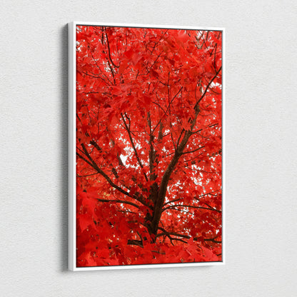 Vertical canvas wall art featuring vibrant red autumn leaves on tree branches.