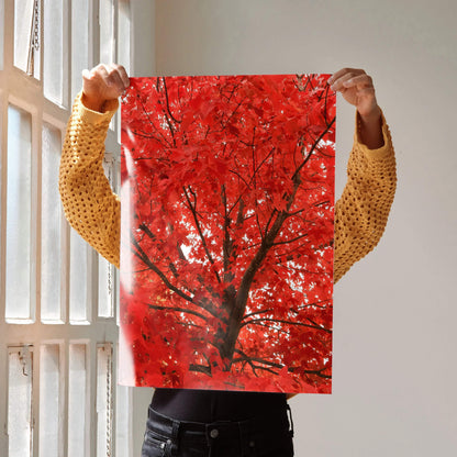 Vertical wall art poster featuring vibrant autumn forest with fiery red leaves and tree branches.