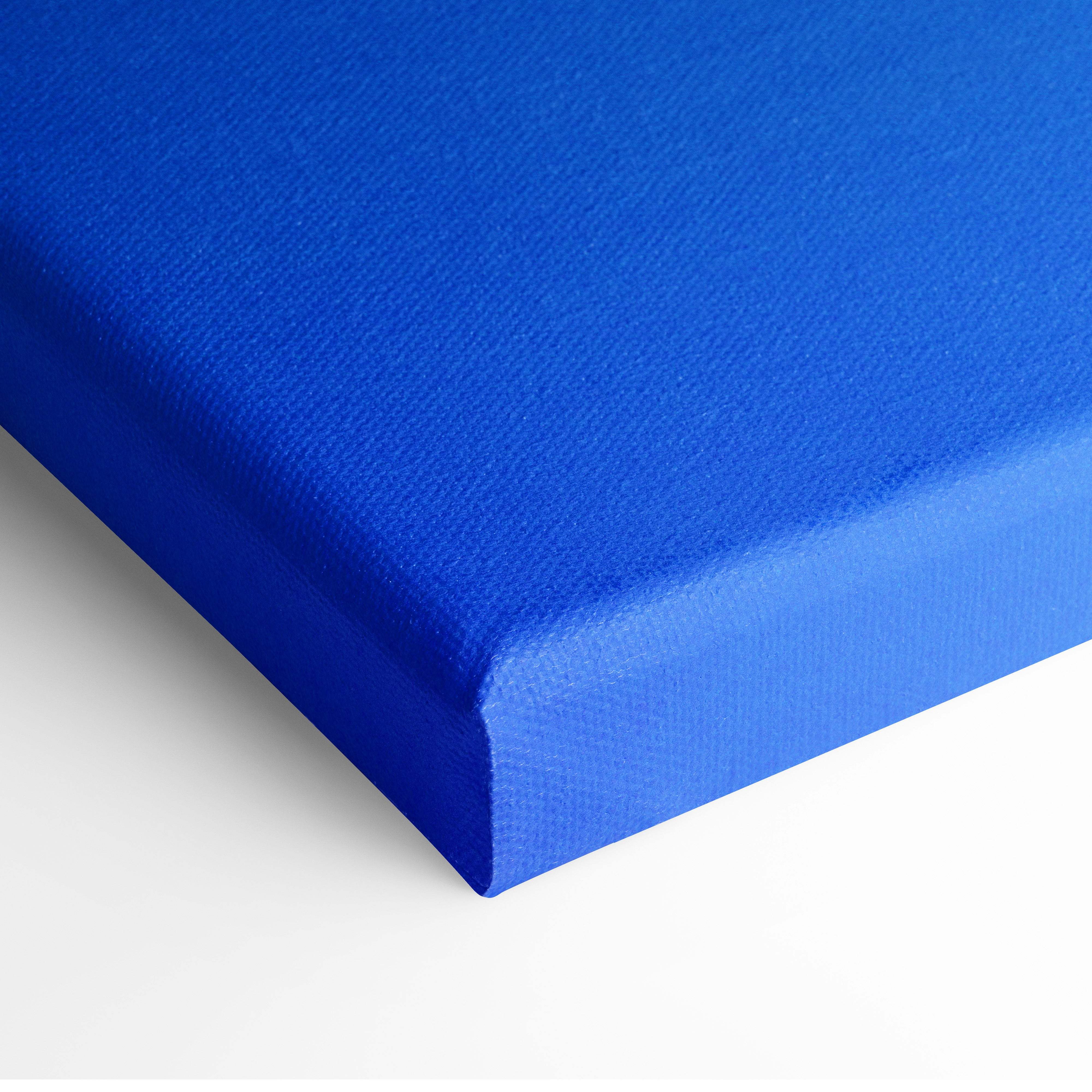 Contemporary eucalyptus canvas wall art with bright blue textured fabric surface and bold geometric color block design
