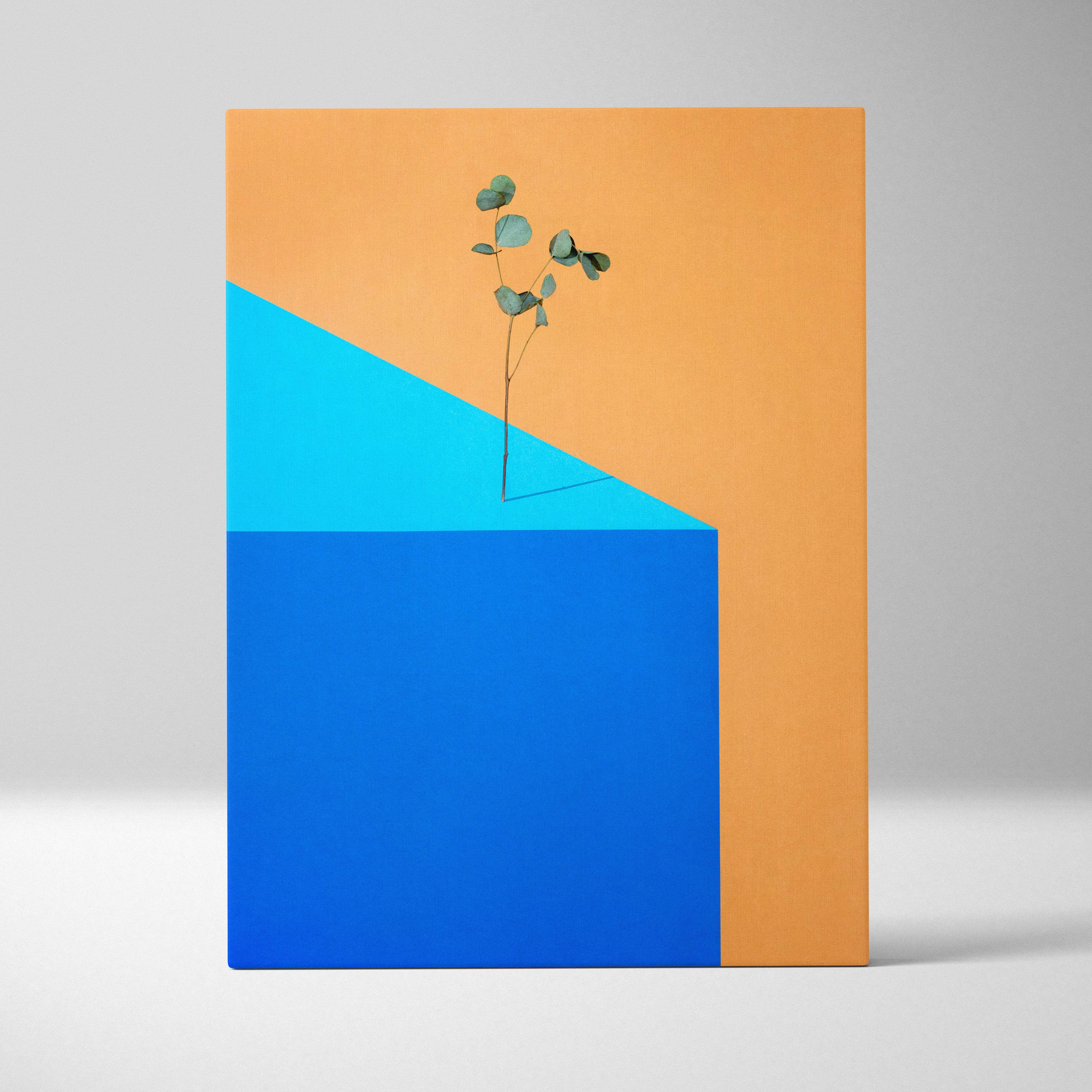 Contemporary eucalyptus canvas wall art with a minimalist green eucalyptus branch on bold orange cyan and deep blue geometric planes