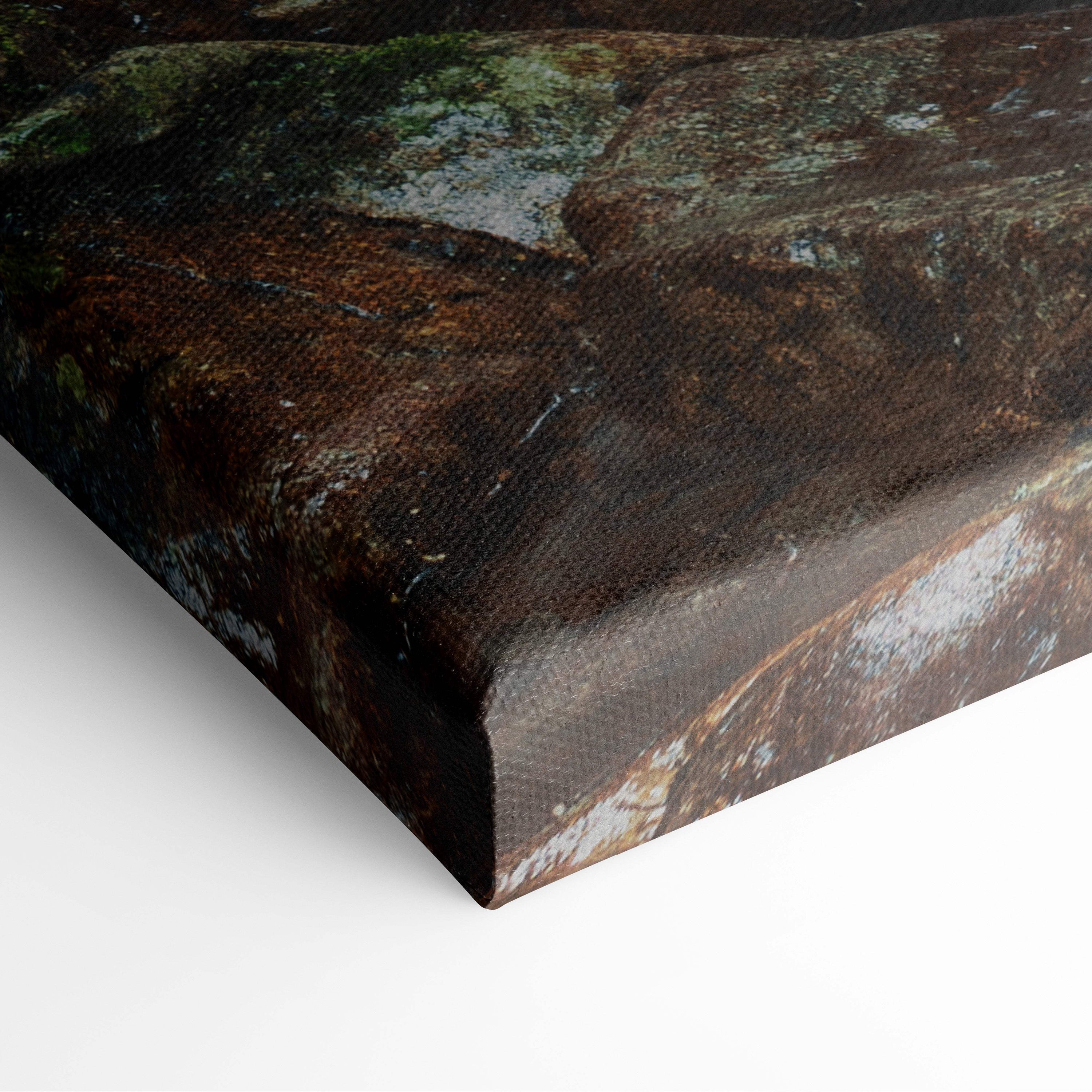 Motivational river canvas wall art featuring a rugged moss-covered rock surface in earthy browns and dark green tones