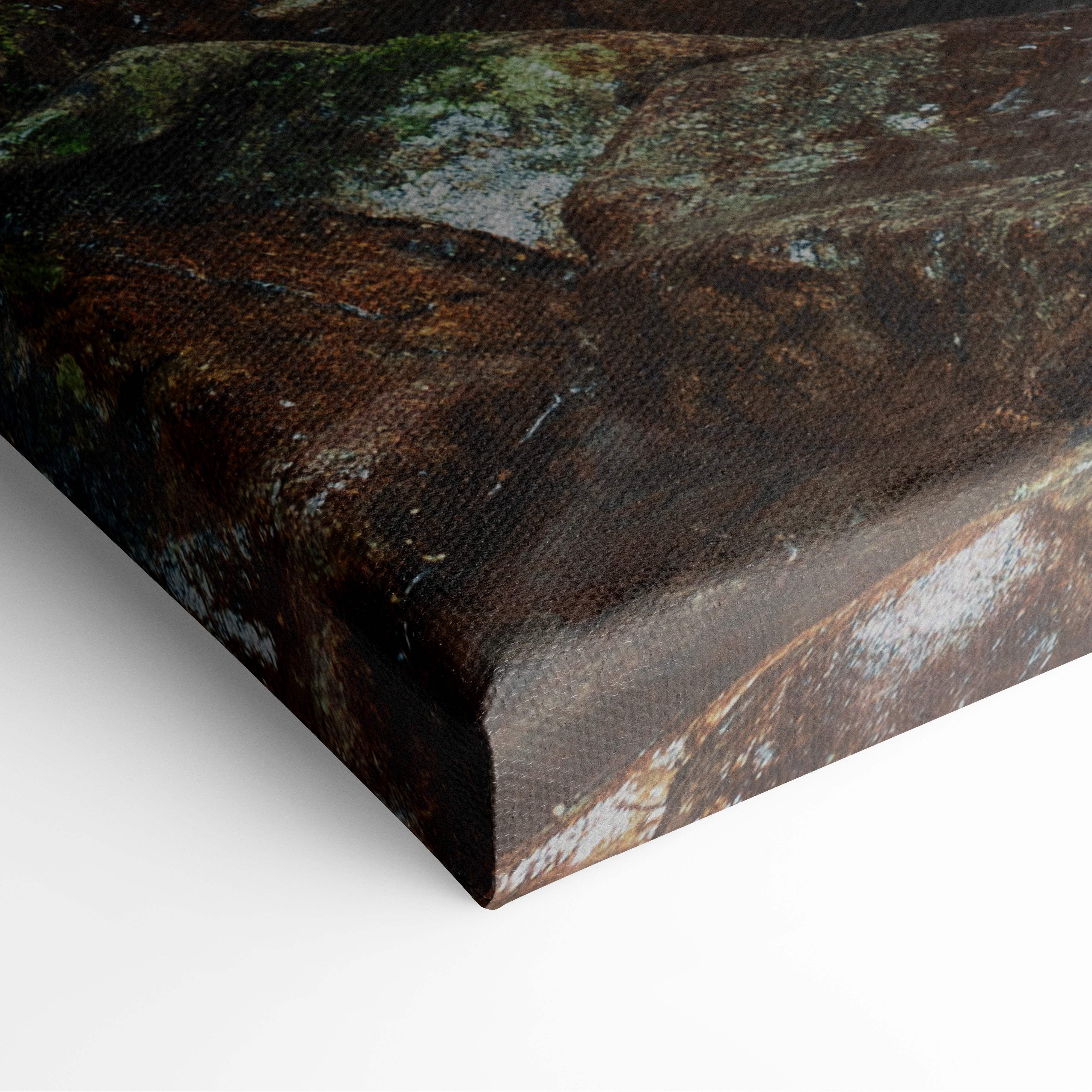 Motivational river canvas wall art featuring a rugged moss-covered rock surface in earthy browns and dark green tones