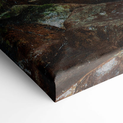 Motivational river canvas wall art featuring a rugged moss-covered rock surface in earthy browns and dark green tones