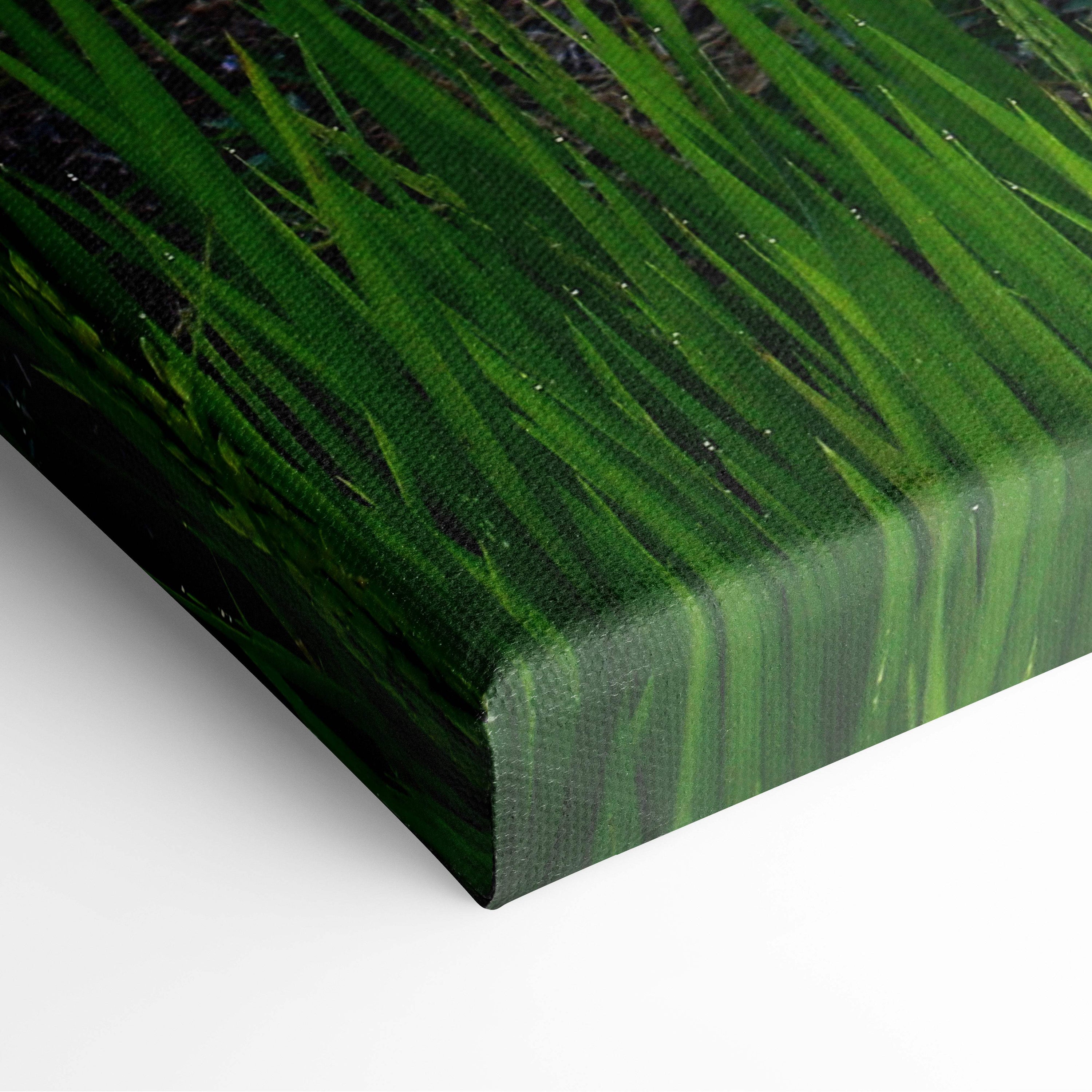 Motivational nature canvas wall art featuring vibrant green tall grass with dewdrops on textured fabric surface