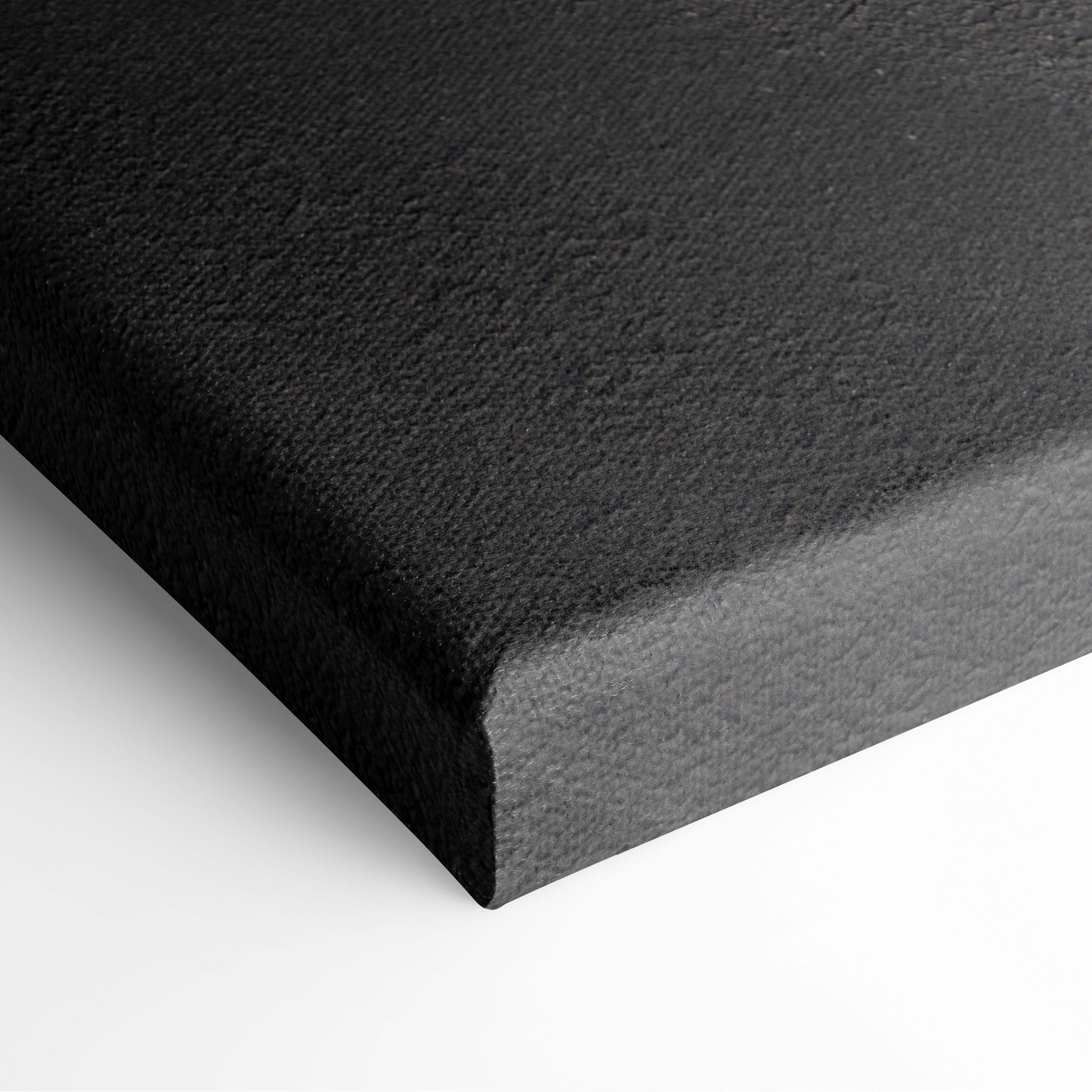 Black textured canvas with matte finish and raised edges for red formula race car overhead track wall art print