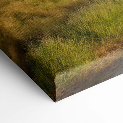 Storm over prairie house canvas art featuring textured naturalistic grass in green and brown for moody wall decor