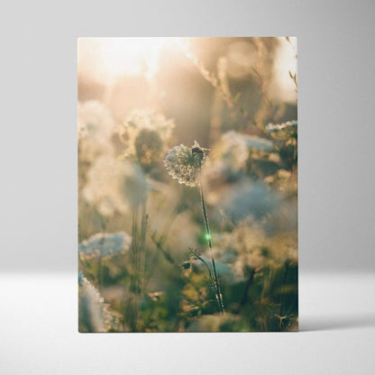 Golden dandelion seed head in dreamy sunlit meadow with bee at golden hour
