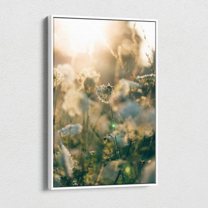 White-framed canvas print of dreamy sunlit dandelion seeds in golden glow