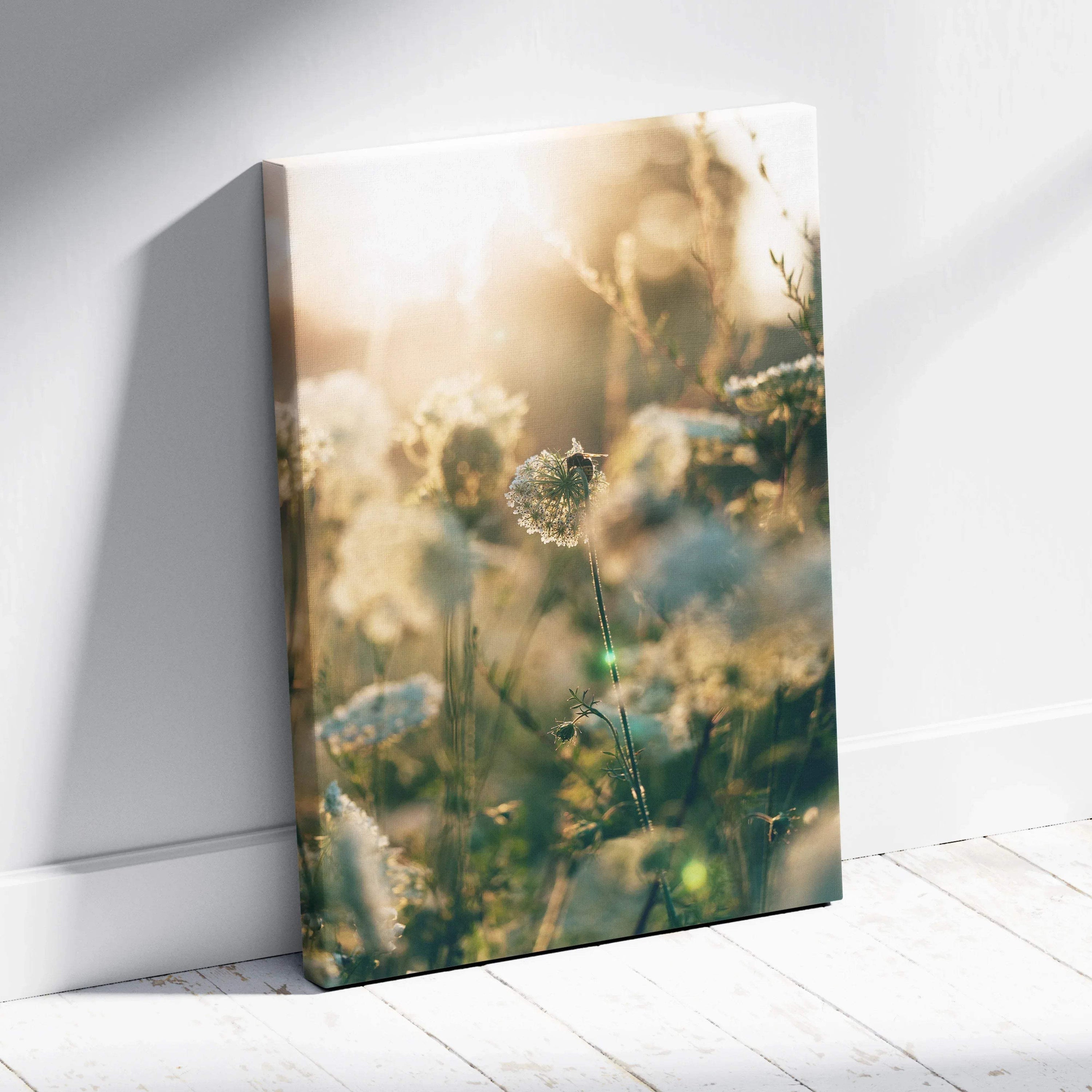 Framed canvas print of dreamy sunlit meadow with bee on dandelion in golden hour glow