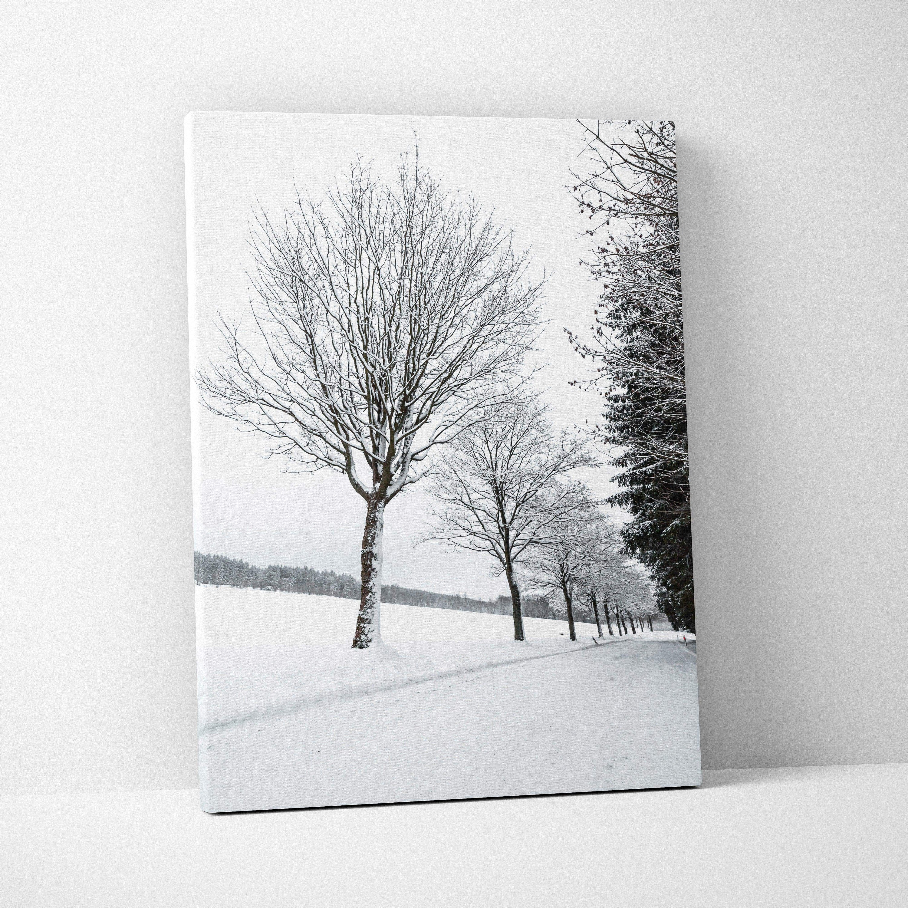 Canvas wall art featuring a row of leafless trees covered in snow against a white winter landscape.