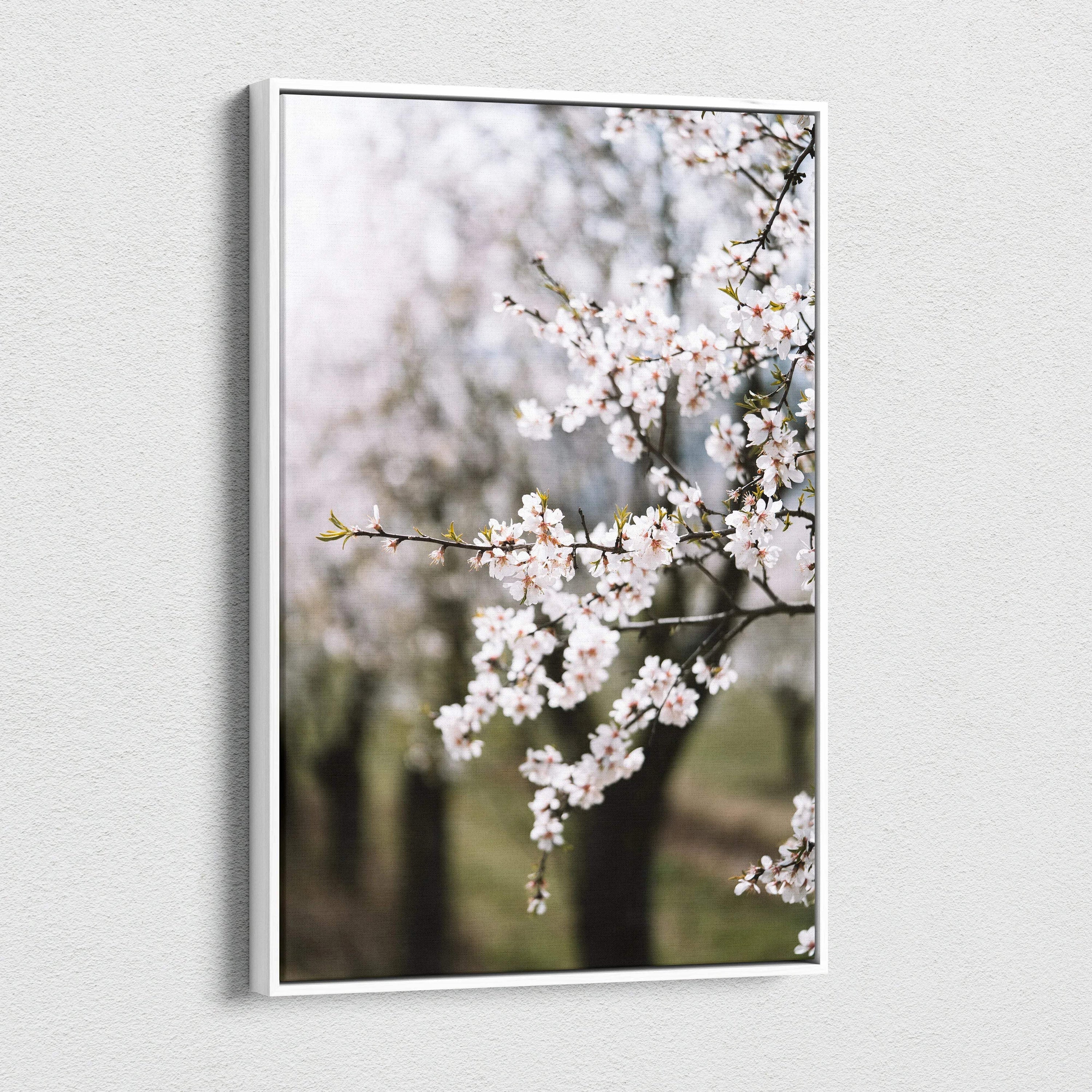 Framed almond blossom branches canvas wall art in white frame