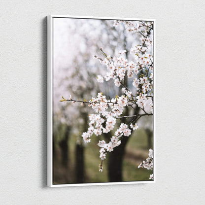 Framed almond blossom branches canvas wall art in white frame