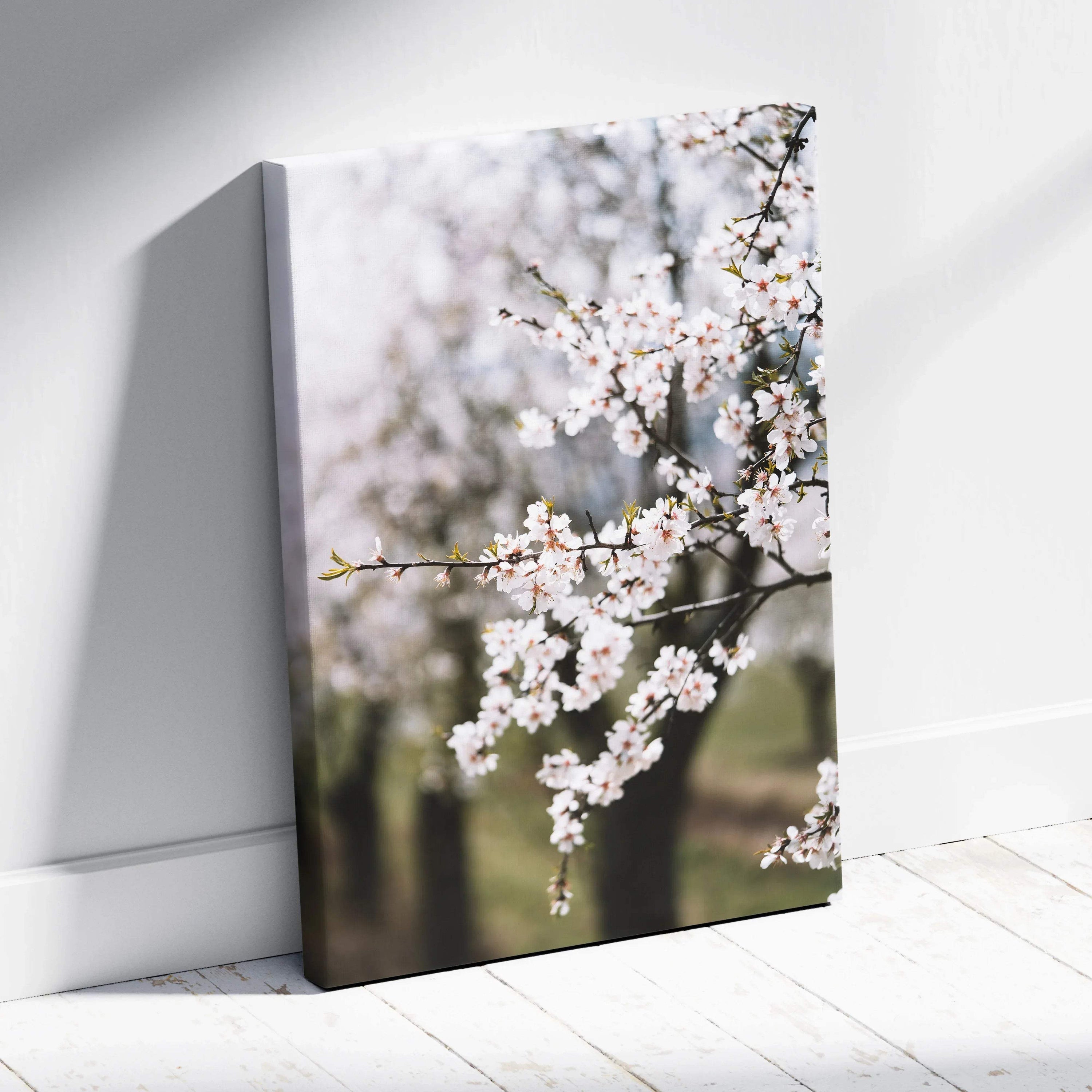 Framed canvas wall art of delicate white almond blossom branches on soft pastel background