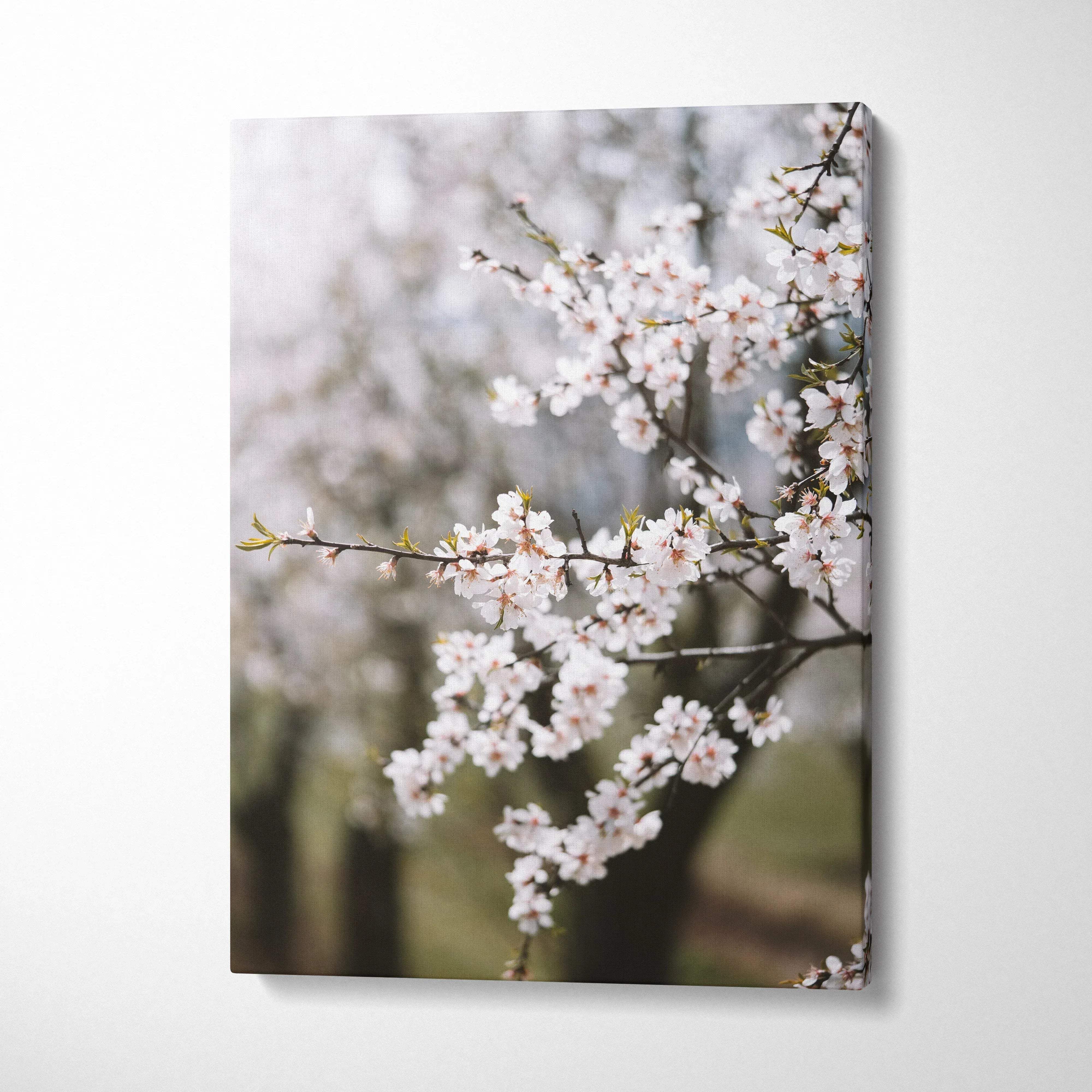 Canvas wall art of almond blossom branches in soft white pastel mood