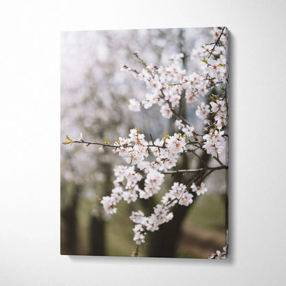 Canvas wall art of almond blossom branches in soft white pastel mood