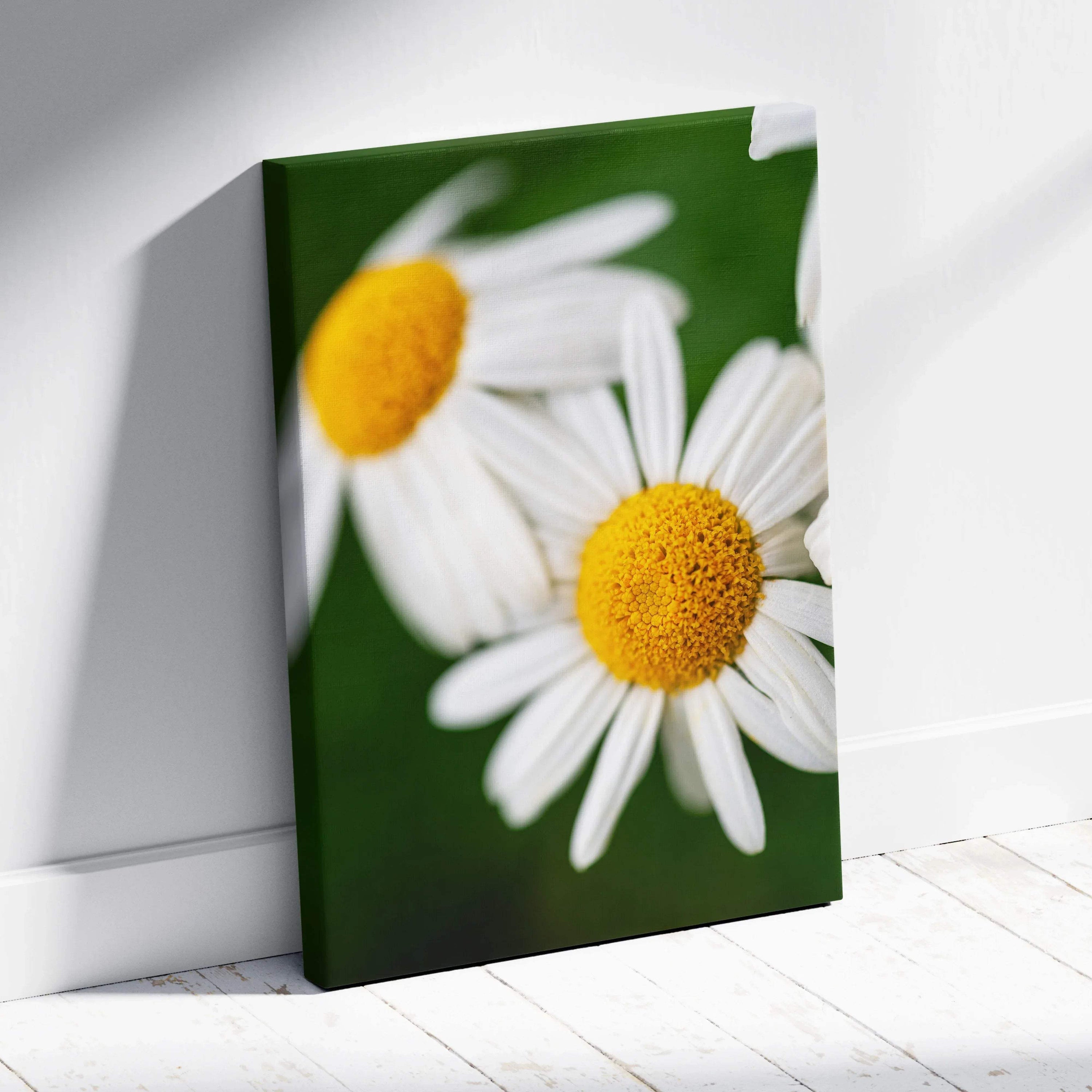 Framed close-up daisy canvas print with vibrant white petals and yellow centers on green background