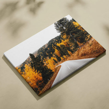 Autumn nature canvas wall art featuring winding road surrounded by vibrant golden fall trees.