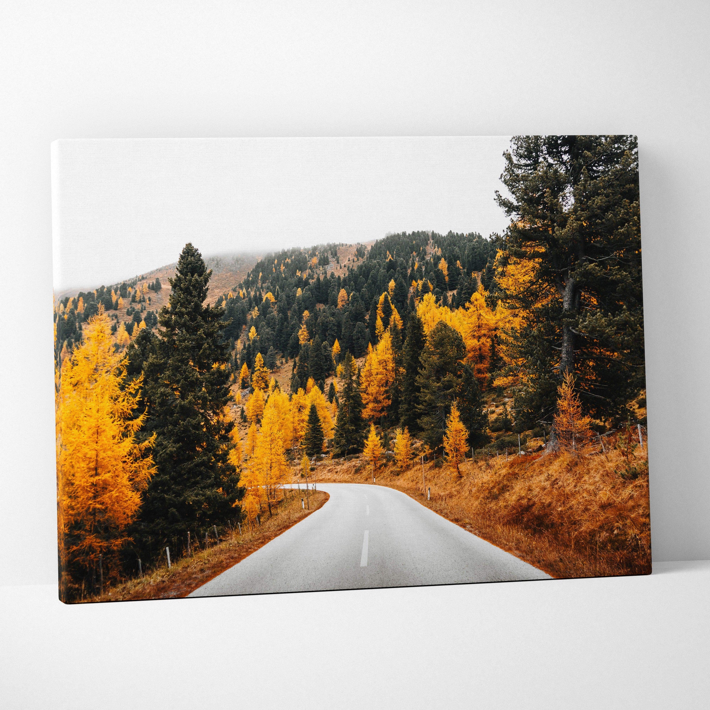 Autumn nature canvas art featuring winding road through vibrant golden trees wall art.