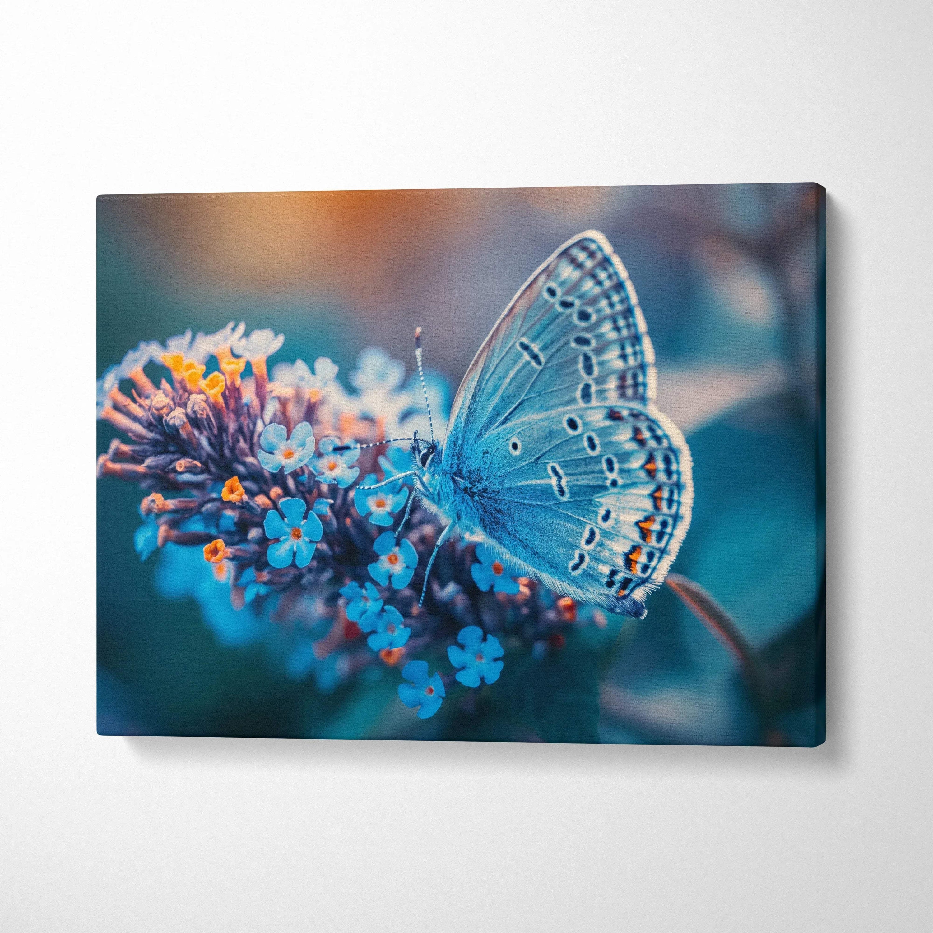 Blue butterfly with black orange markings on blue flowers canvas wall art