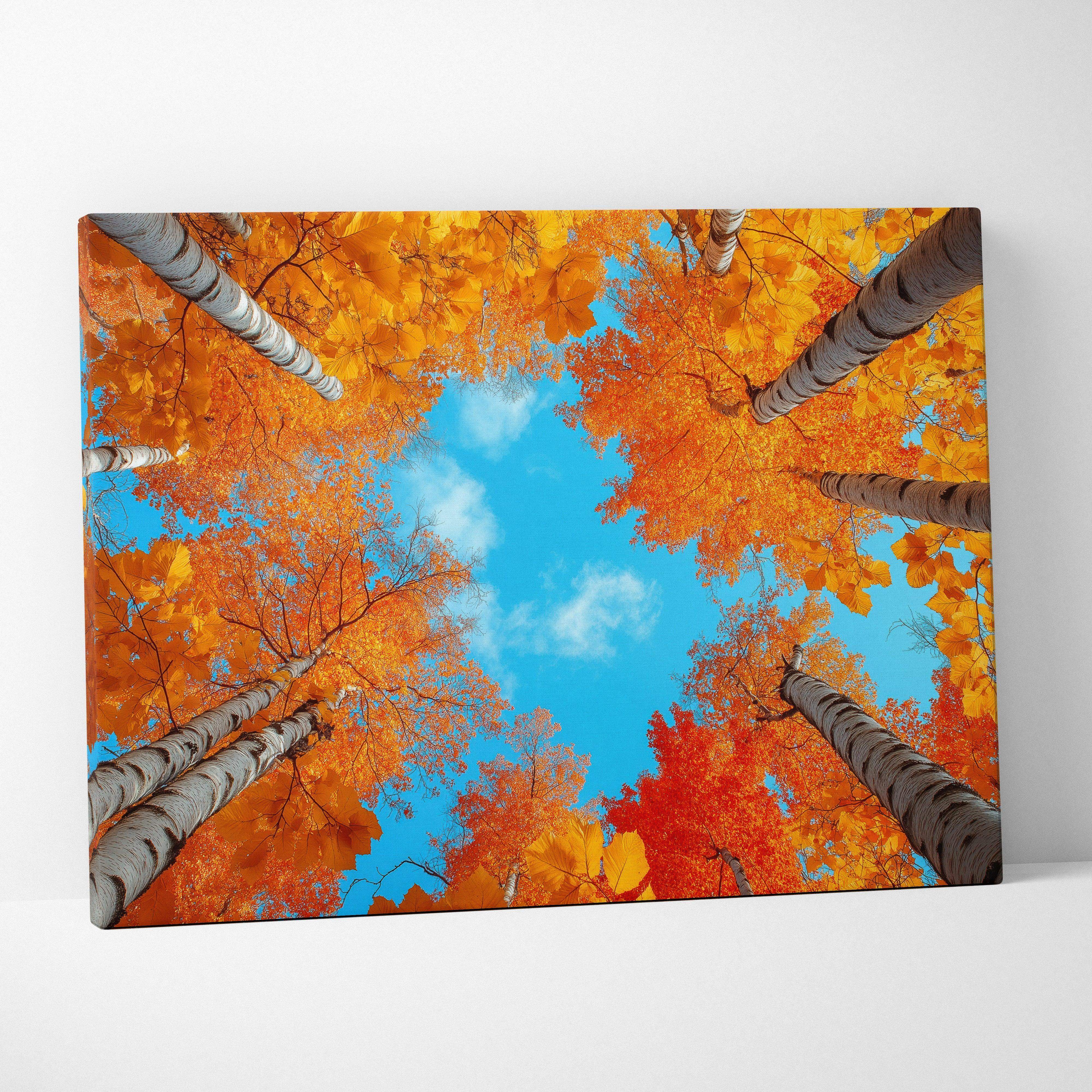 Autumn forest canopy canvas wall art featuring low-angle birch trees with fiery orange leaves and bright blue sky