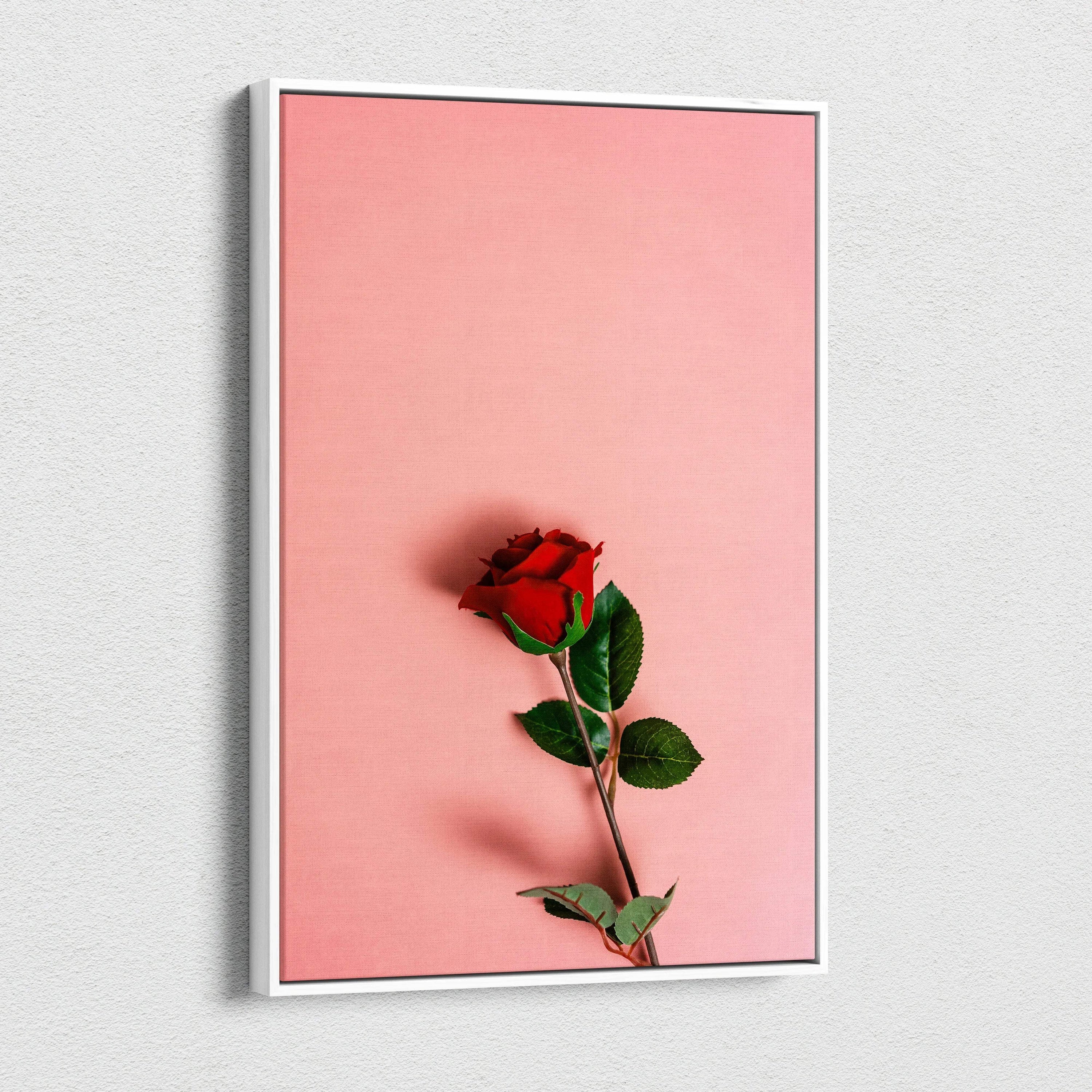 Framed canvas print of vibrant red rose on pastel pink background