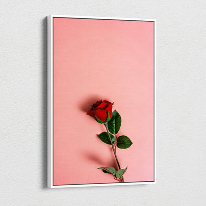Framed canvas print of vibrant red rose on pastel pink background