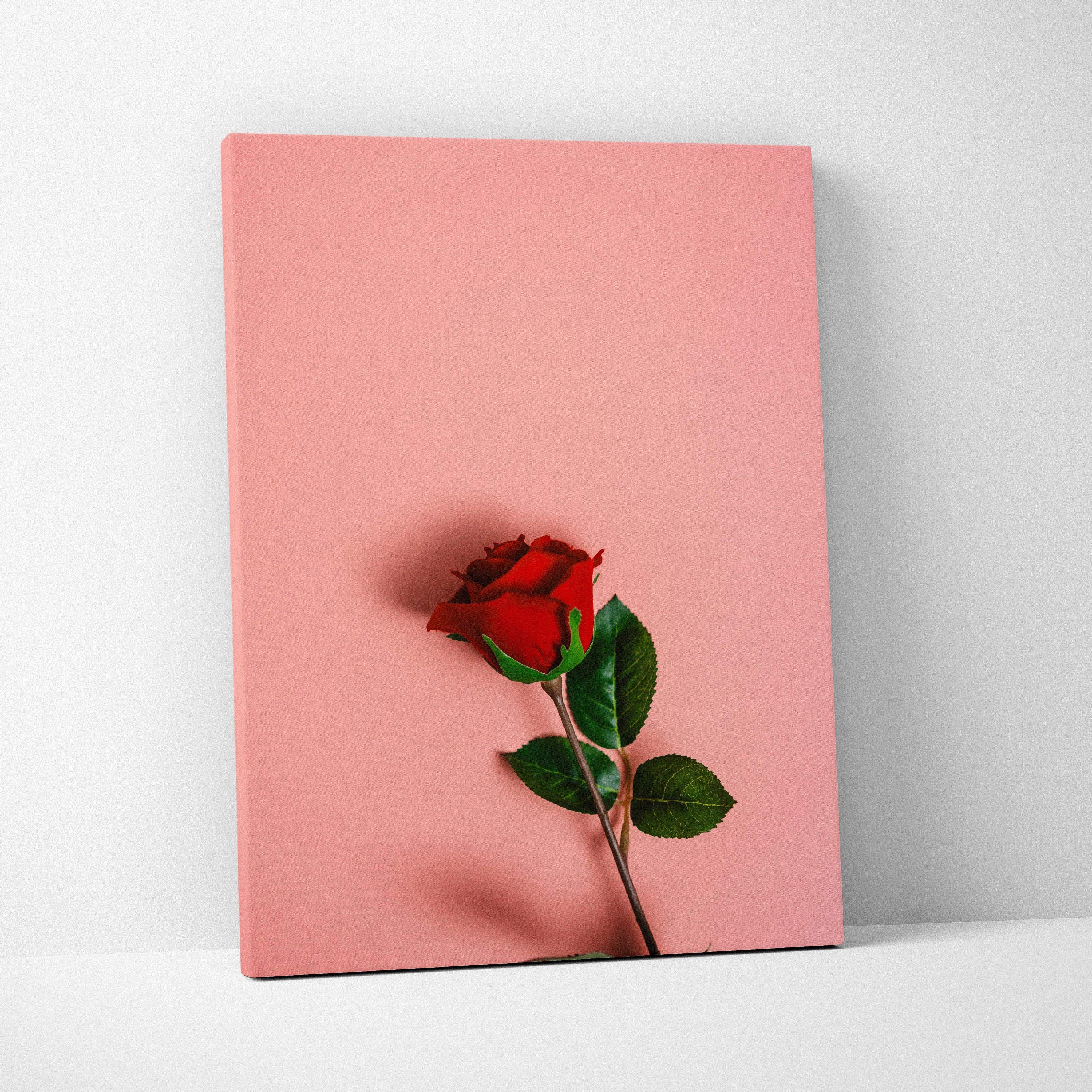 Vibrant red rose on pastel pink canvas wall art with serene elegant mood