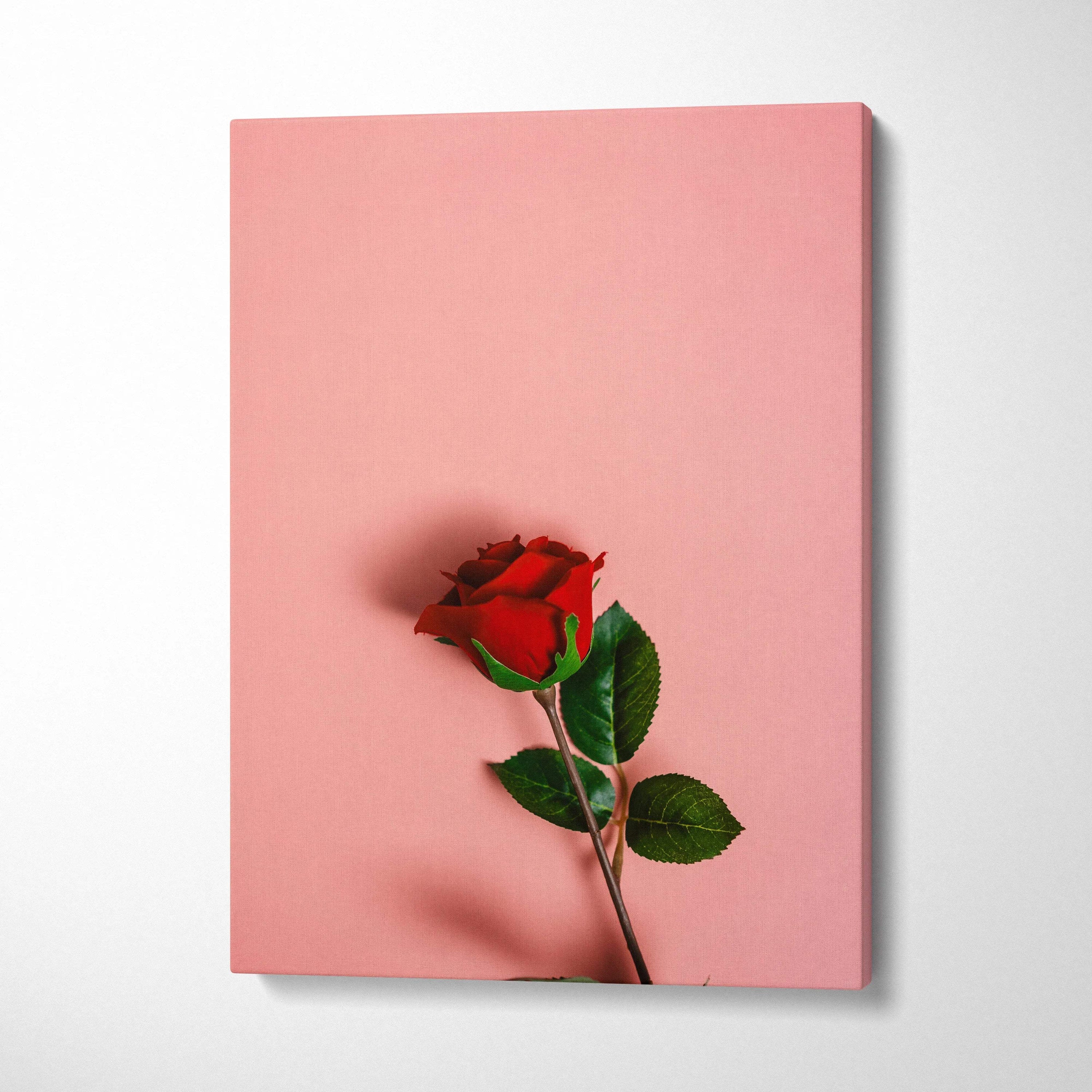 Vibrant red rose canvas wall art on pastel pink background with serene mood