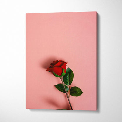 Vibrant red rose canvas wall art on pastel pink background with serene mood