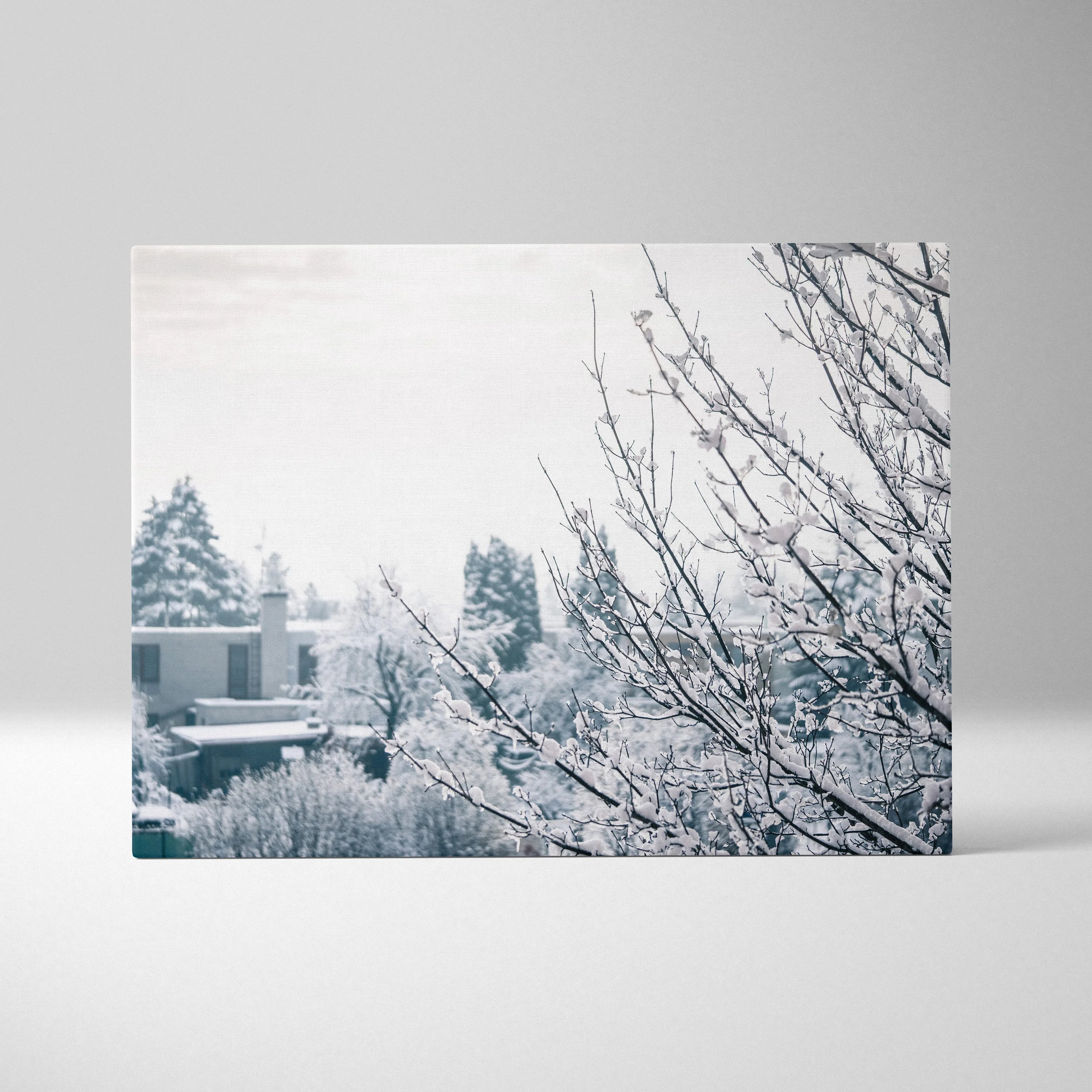 Canvas wall art featuring delicate snow-covered branches in a soft, muted winter landscape decor.