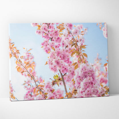 Stunning Cherry Blossom Canvas Wall Art Print with Floral Design Design Inspired by Spring Blooming Petals