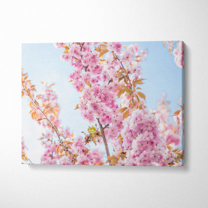 Stunning Cherry Blossom Canvas Wall Art Print with Floral Design Design Inspired by Spring Blooming Petals