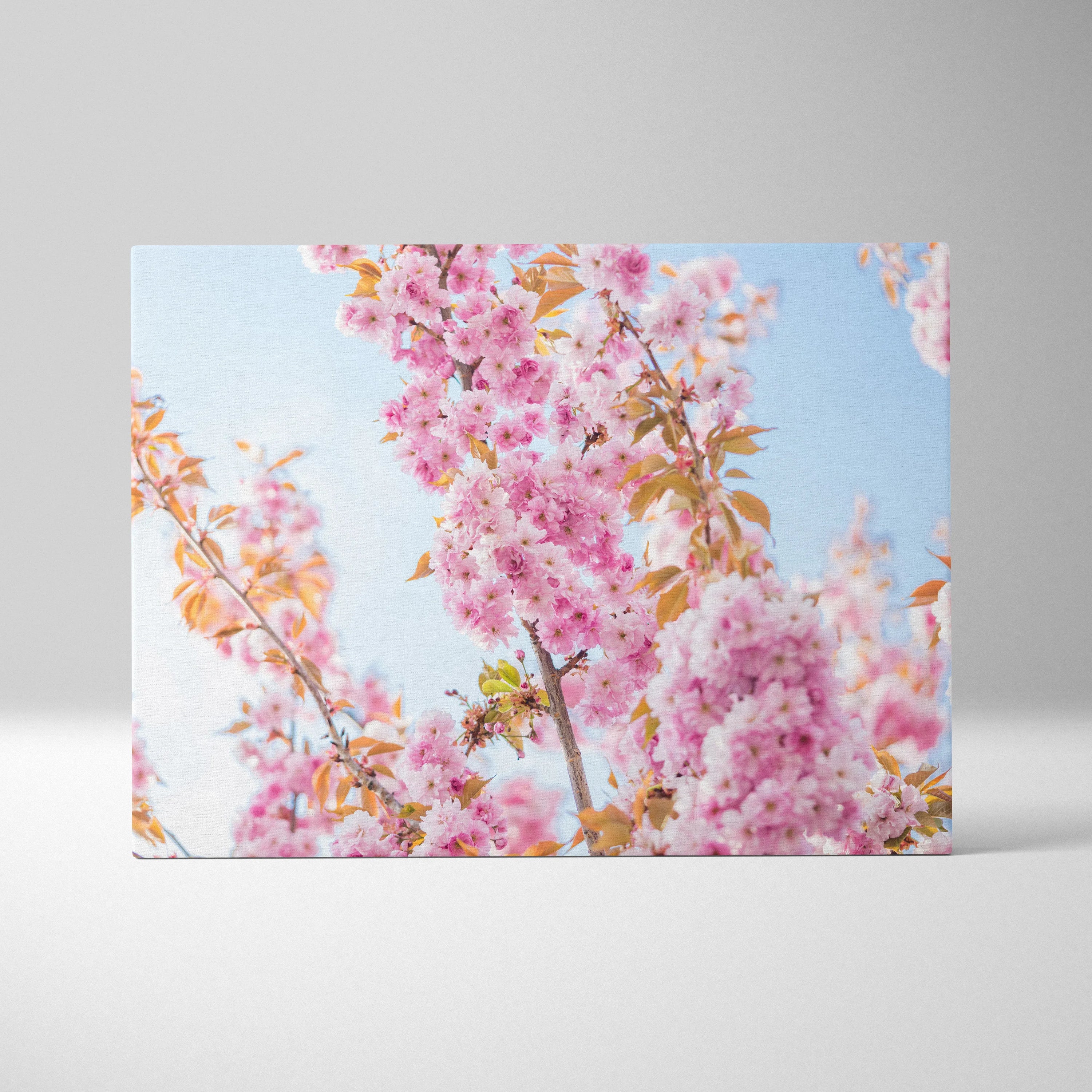 Stunning Cherry Blossom Canvas Wall Art Print with Floral Design Design Inspired by Spring Blooming Petals