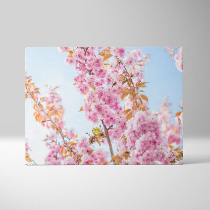 Stunning Cherry Blossom Canvas Wall Art Print with Floral Design Design Inspired by Spring Blooming Petals
