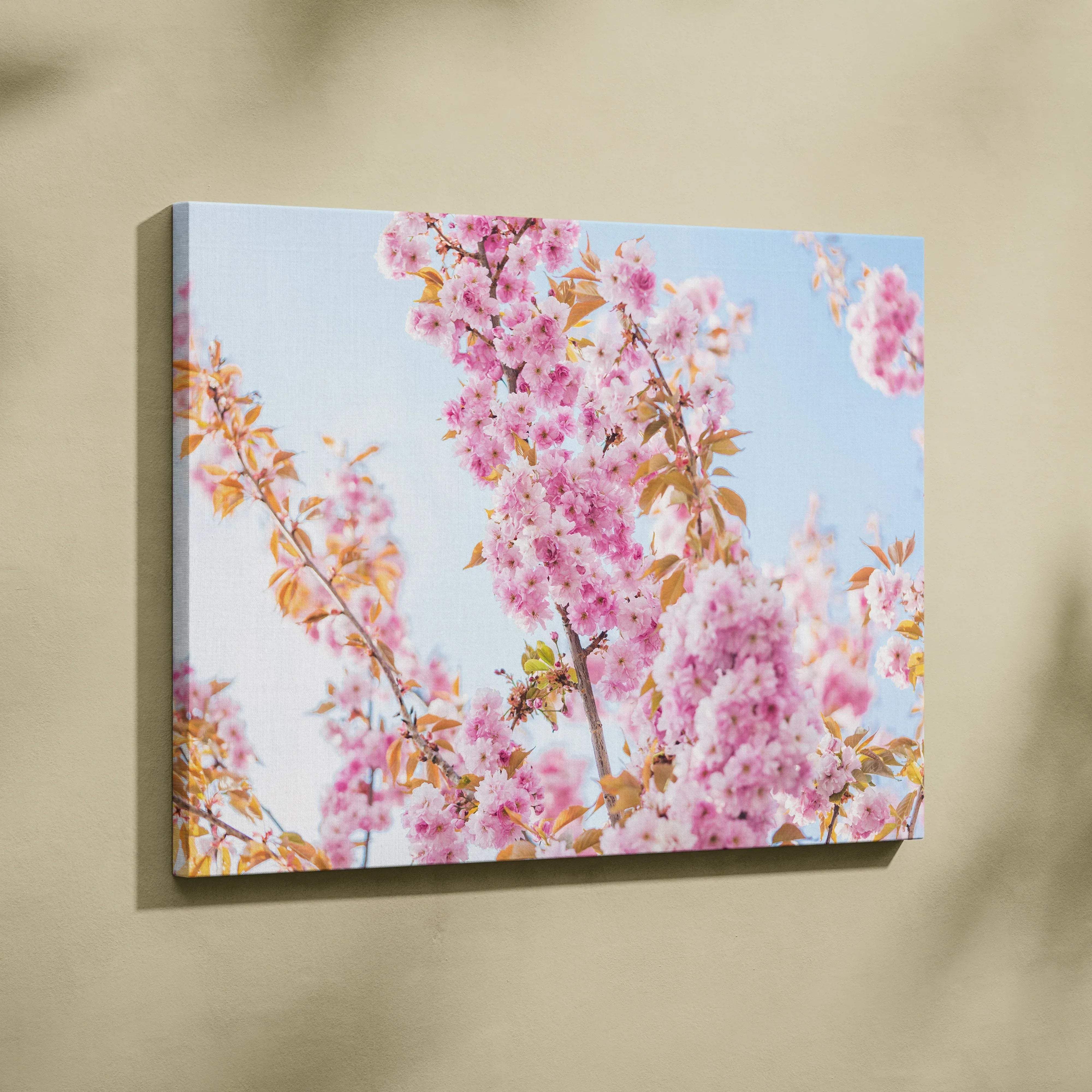 Canvas print of pink cherry blossoms on blue sky, soft pastel palette