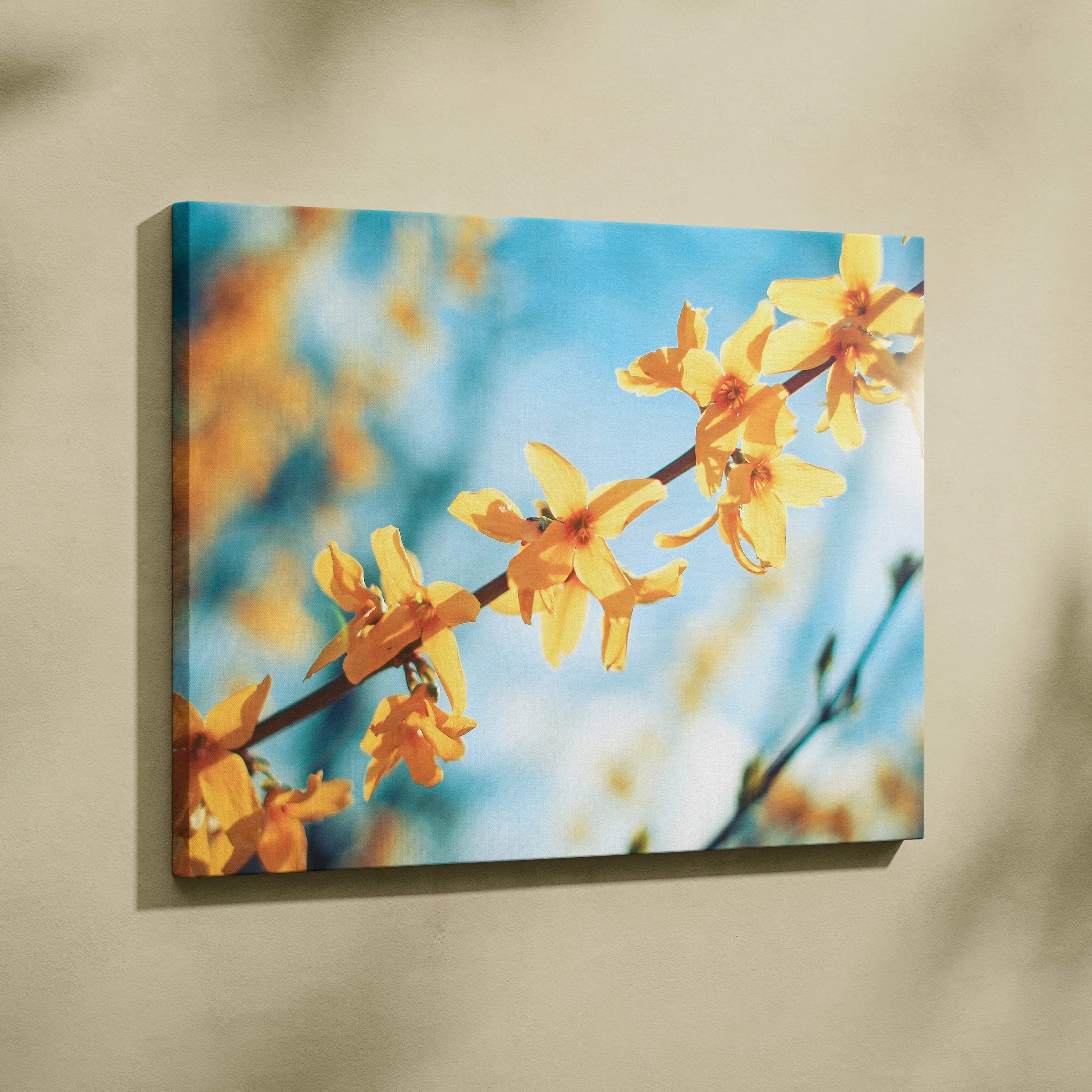 Vibrant forsythia yellow flowers on blue sky canvas wall art for home decor.