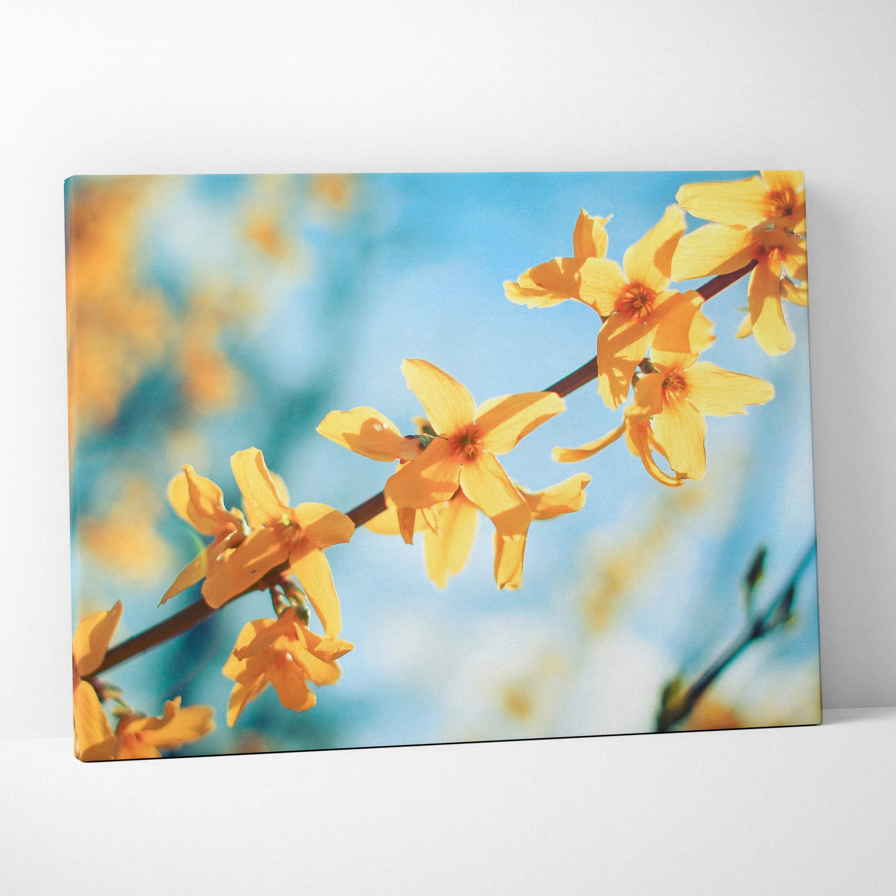 Vibrant yellow forsythia flowers on thin branch against soft blue sky canvas wall art decor.