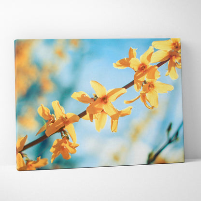 Vibrant yellow forsythia flowers on thin branch against soft blue sky canvas wall art decor.