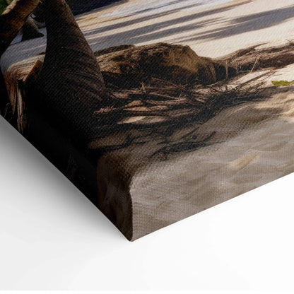 Canvas wall art featuring a shadowed beach scene with sand and a palm tree trunk in warm, muted tones.