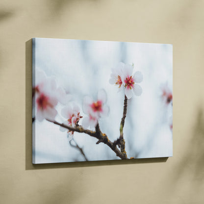 Stunning Cherry Blossom Floral Digital Wall Art Canvas Print For Home Decor