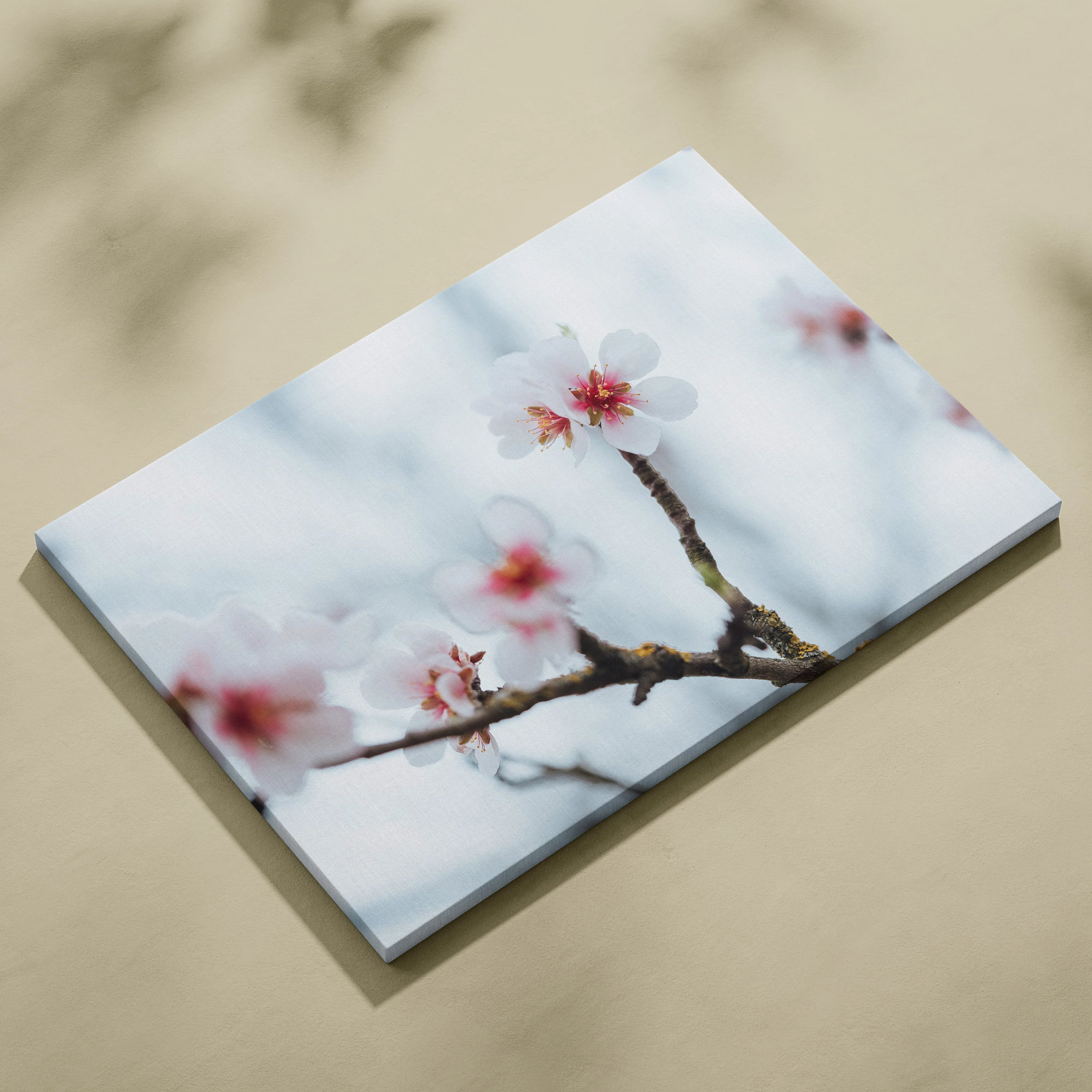 Stunning Cherry Blossom Floral Digital Wall Art Canvas Print For Home Decor