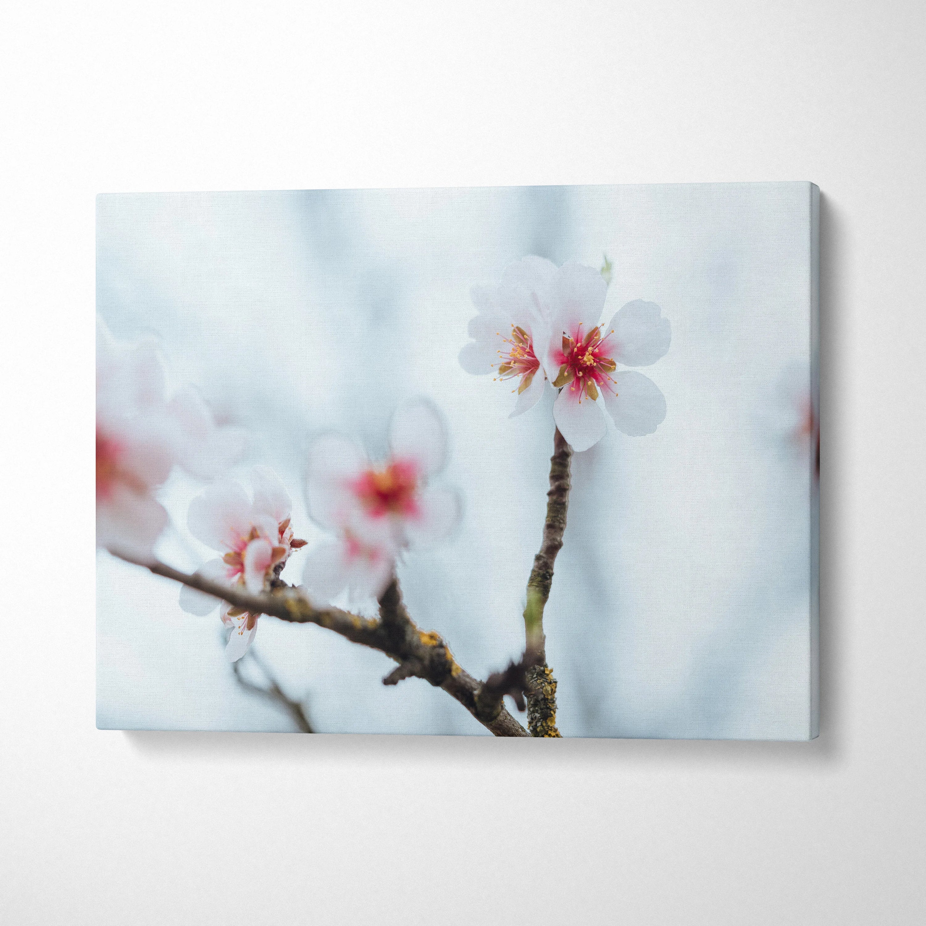 Stunning Cherry Blossom Floral Digital Wall Art Canvas Print For Home Decor